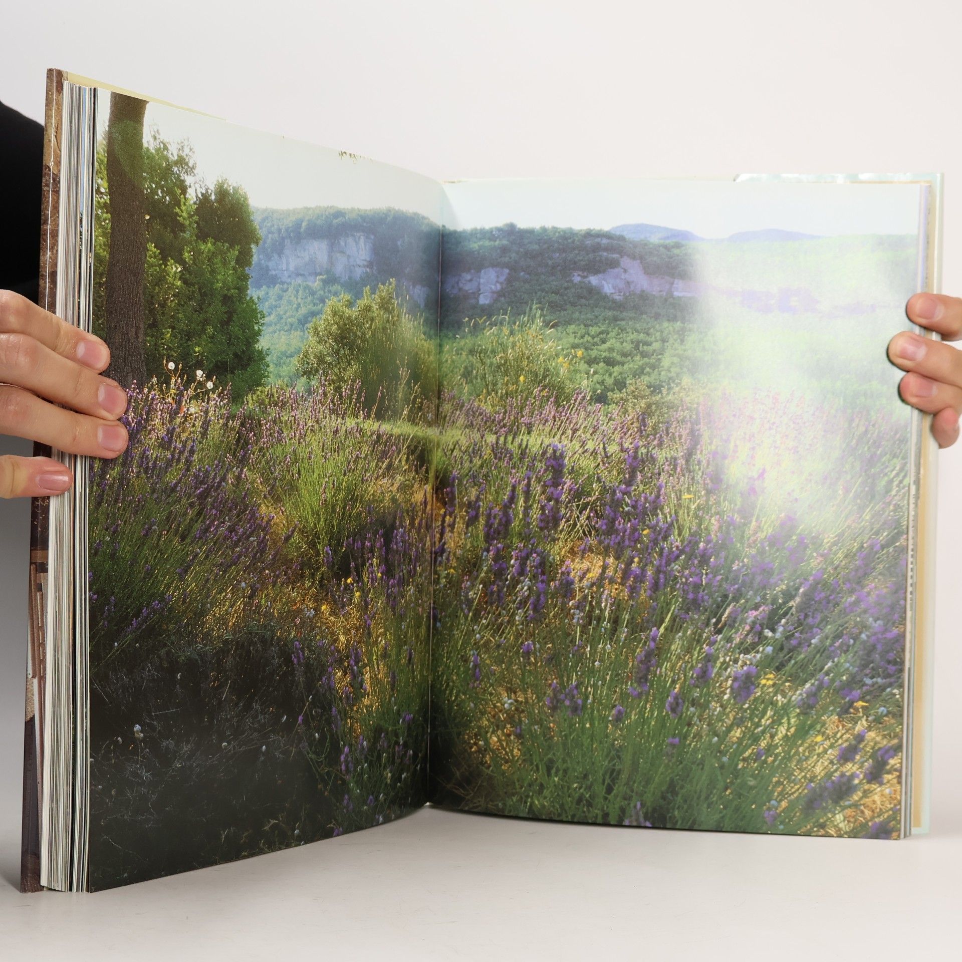 Lisa Lovatt-Smith Provence interiors