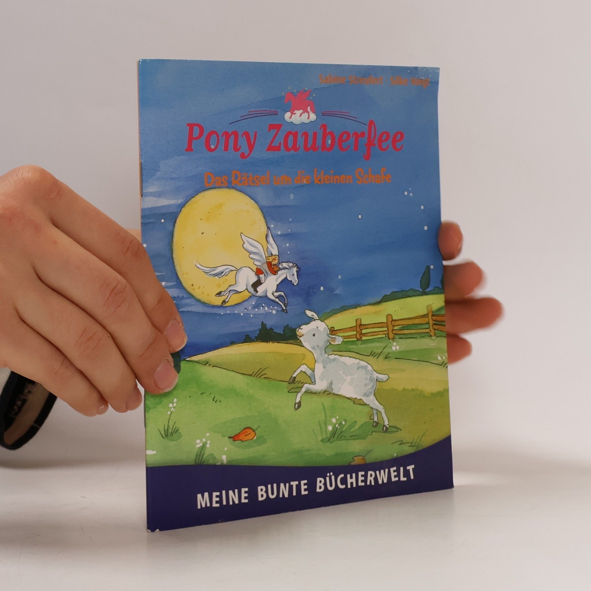Pony Zauberfee