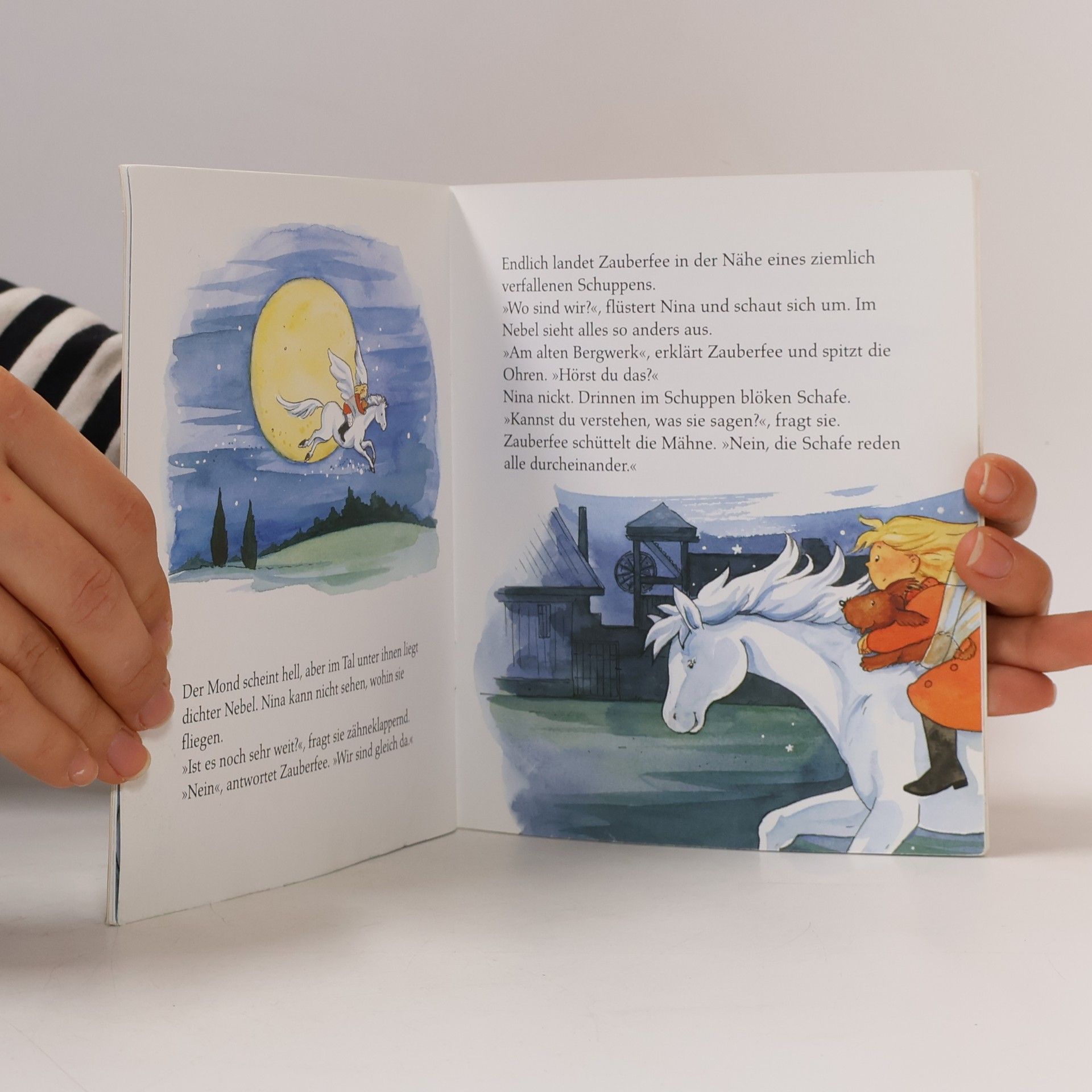 Sabine Ständig Pony Zauberfee