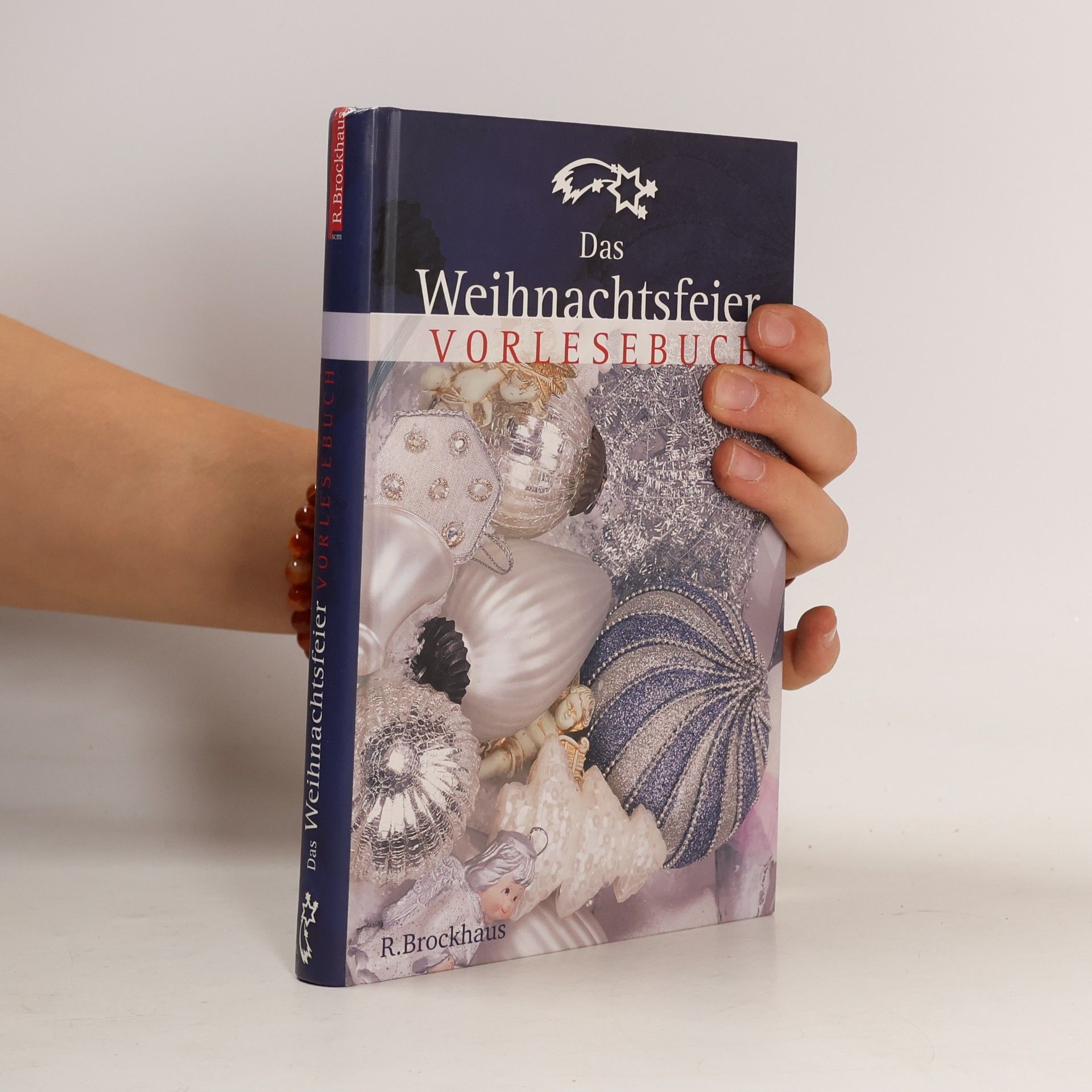 Das Weihnachtsfeier-Vorlesebuch