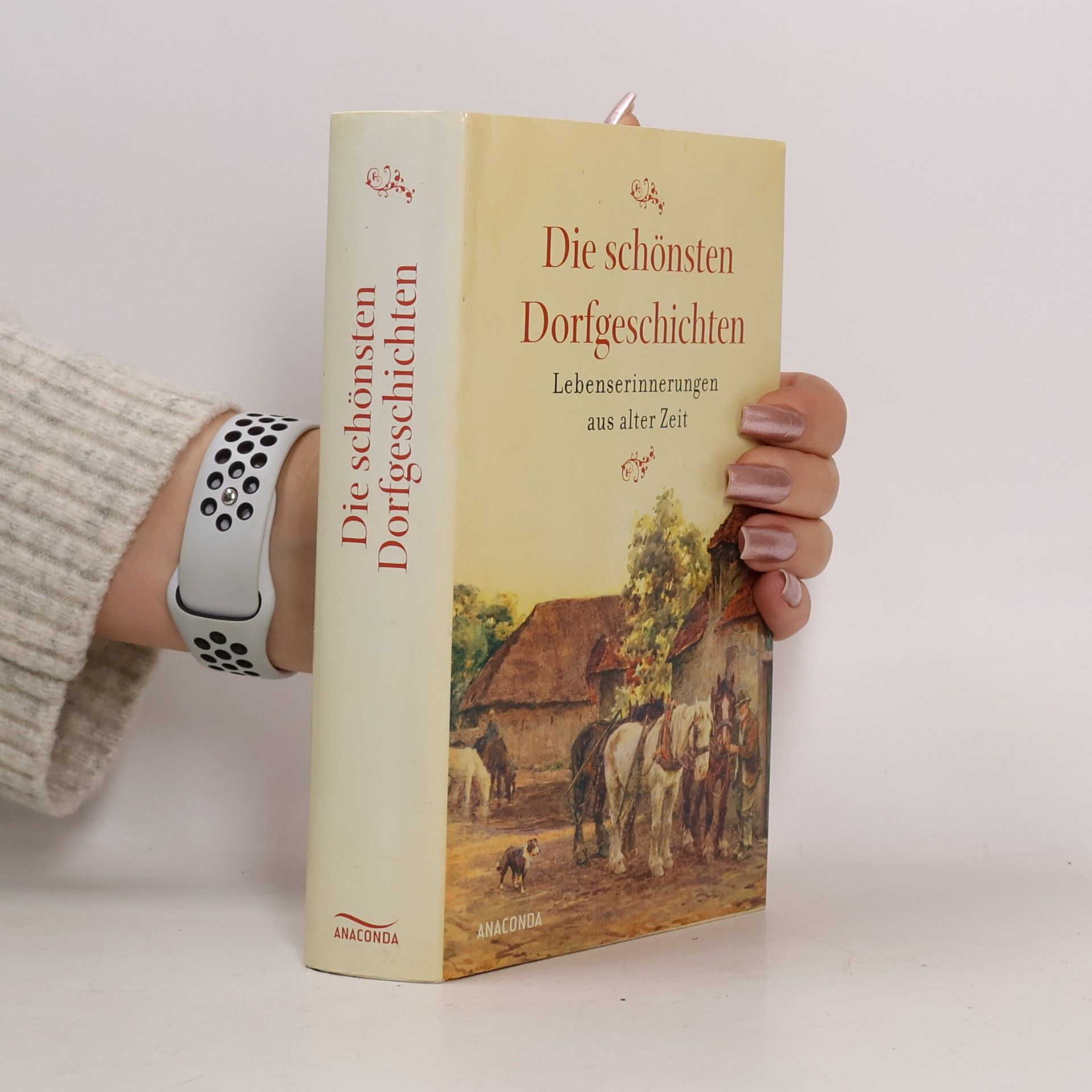 Die schönsten Dorfgeschichten