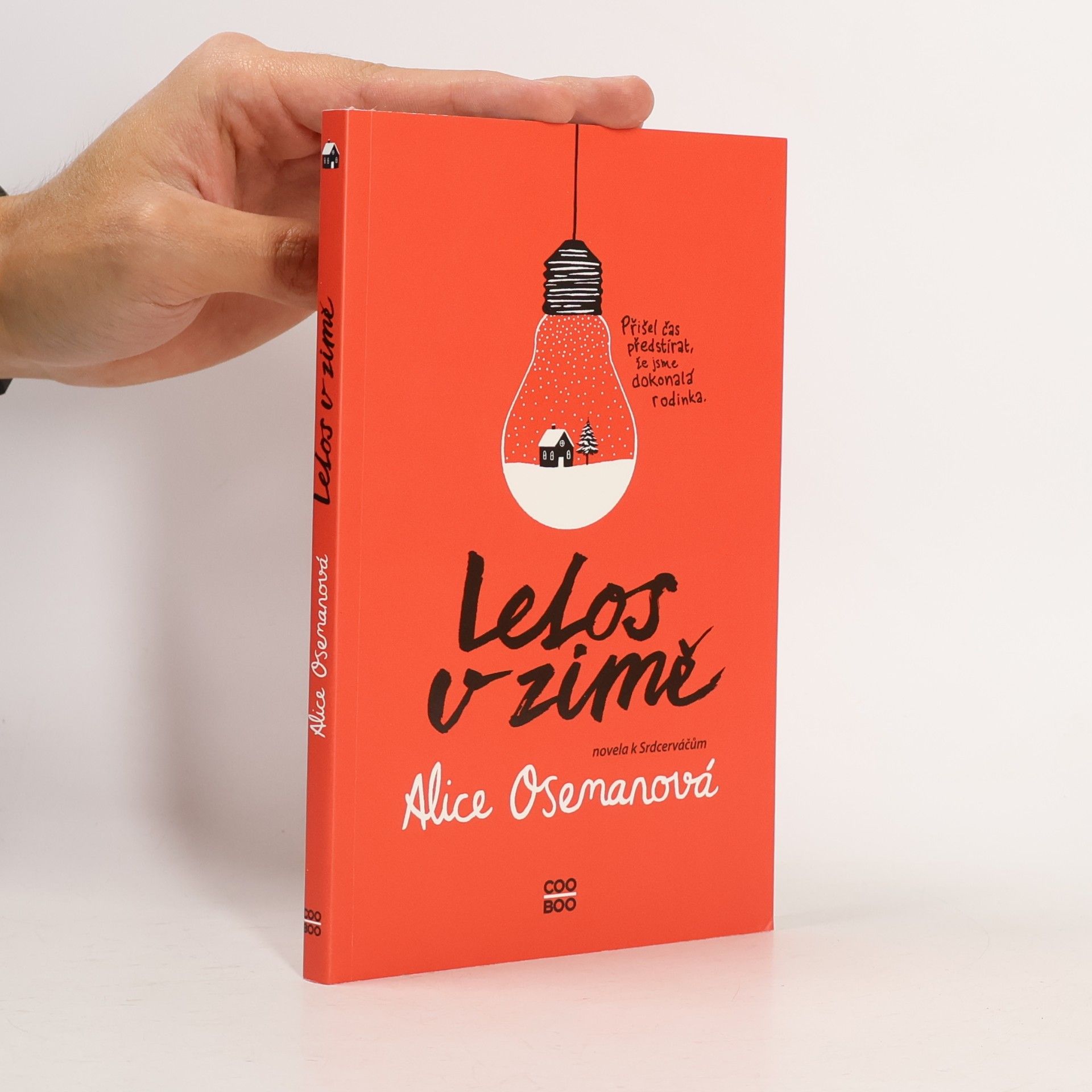 Letos v zimě. Novela k Srdcerváčům