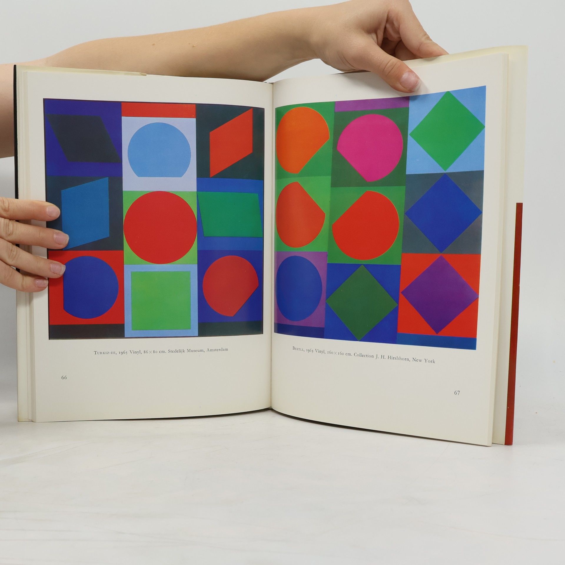 Gaston Diehl Vasarely