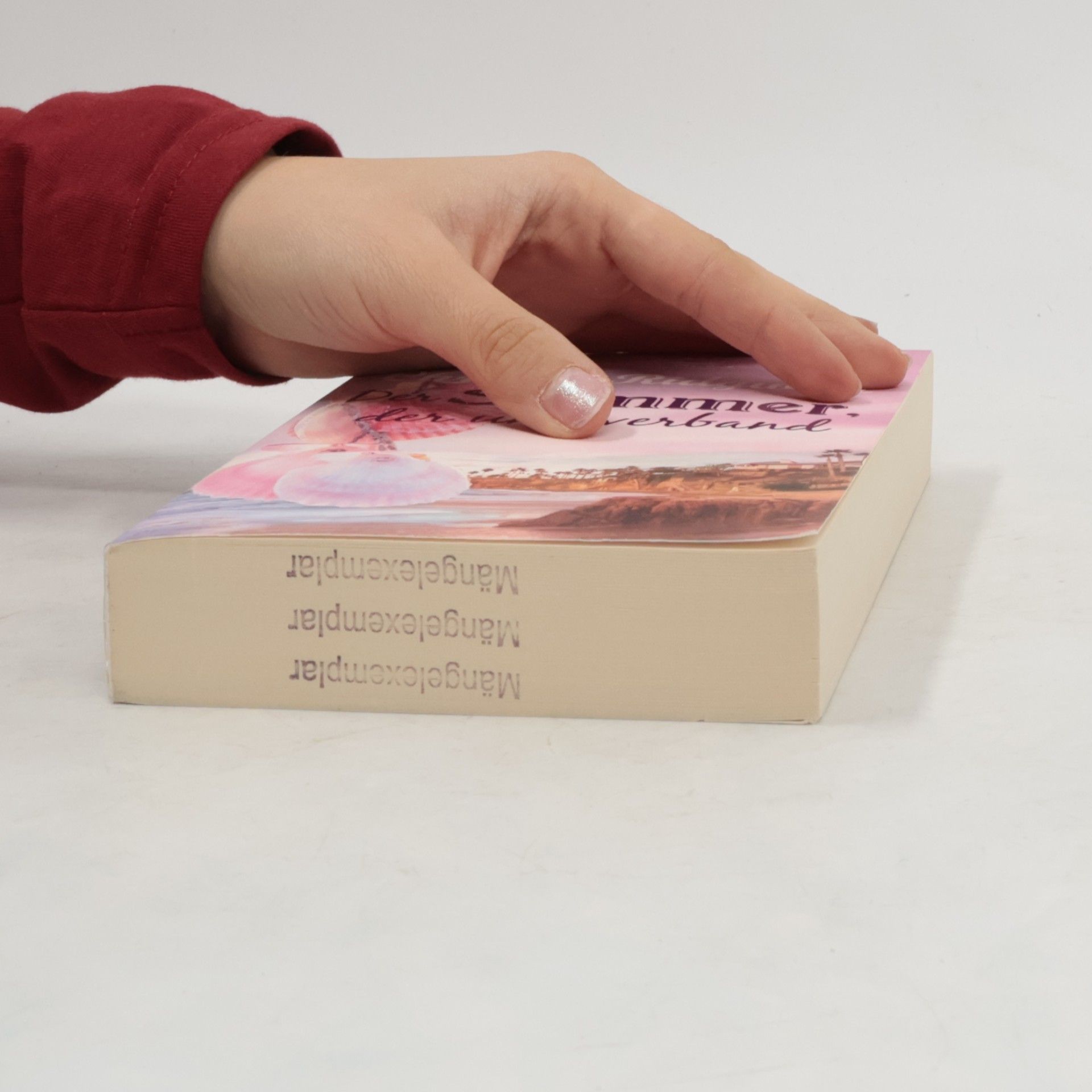 Christie Ridgway Der Sommer, der uns verband