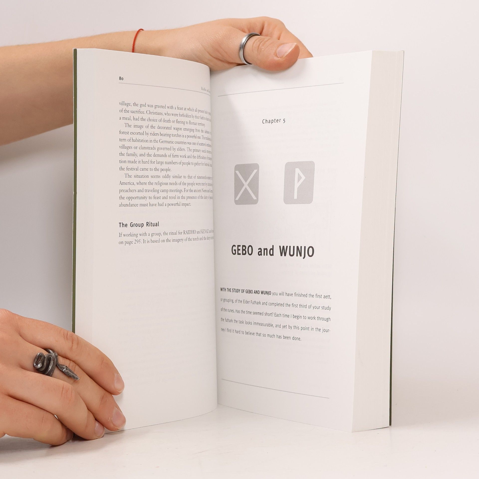 Diana L. Paxson Taking Up the Runes