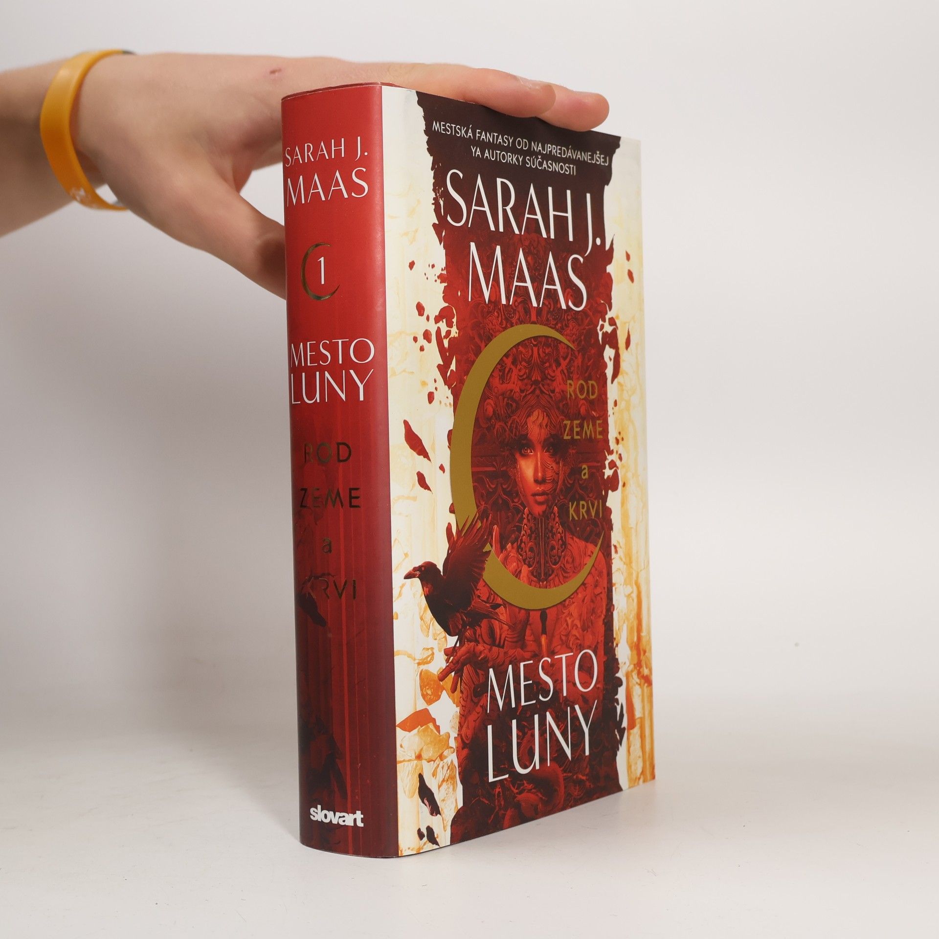 Sarah J. Maas Rod zeme a krvi