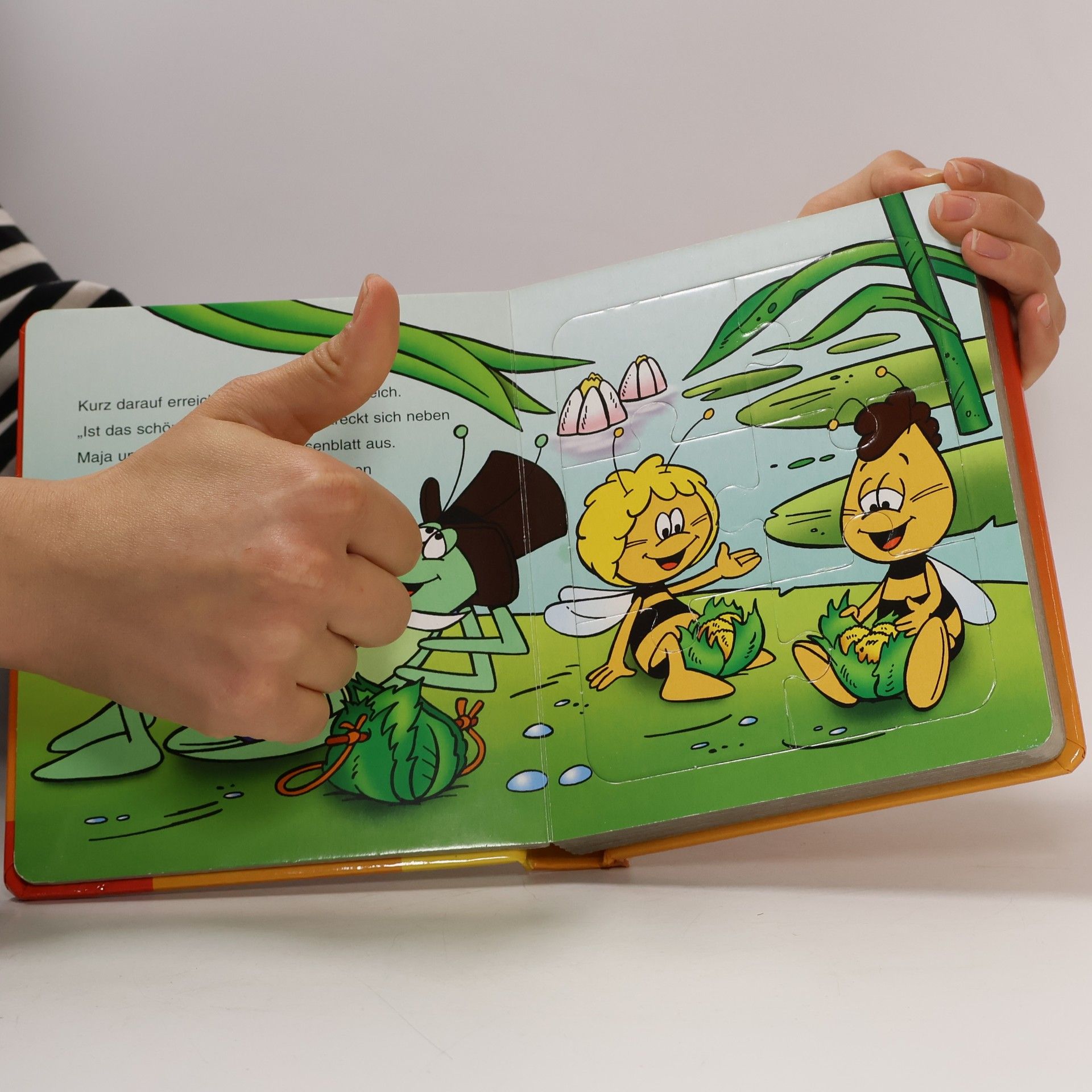 Waldemar Bonsels Biene Maja - Mein Puzzlebuch, Flip in der Falle. Mit 6 Puzzles