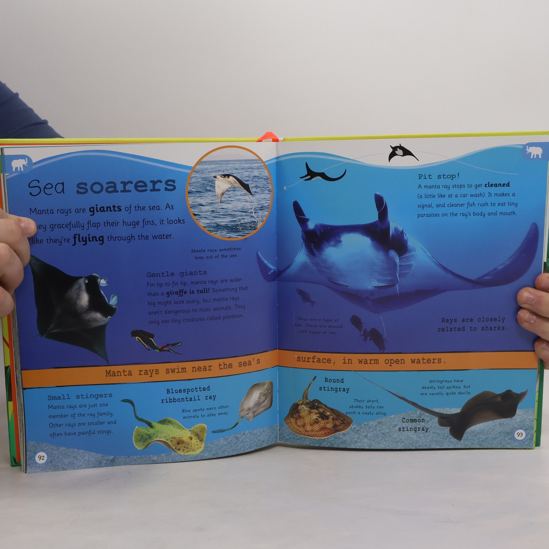 Sophia Danielsson-Waters My Very Important Encyclopedias: My Encyclopedia of Very Important Animals