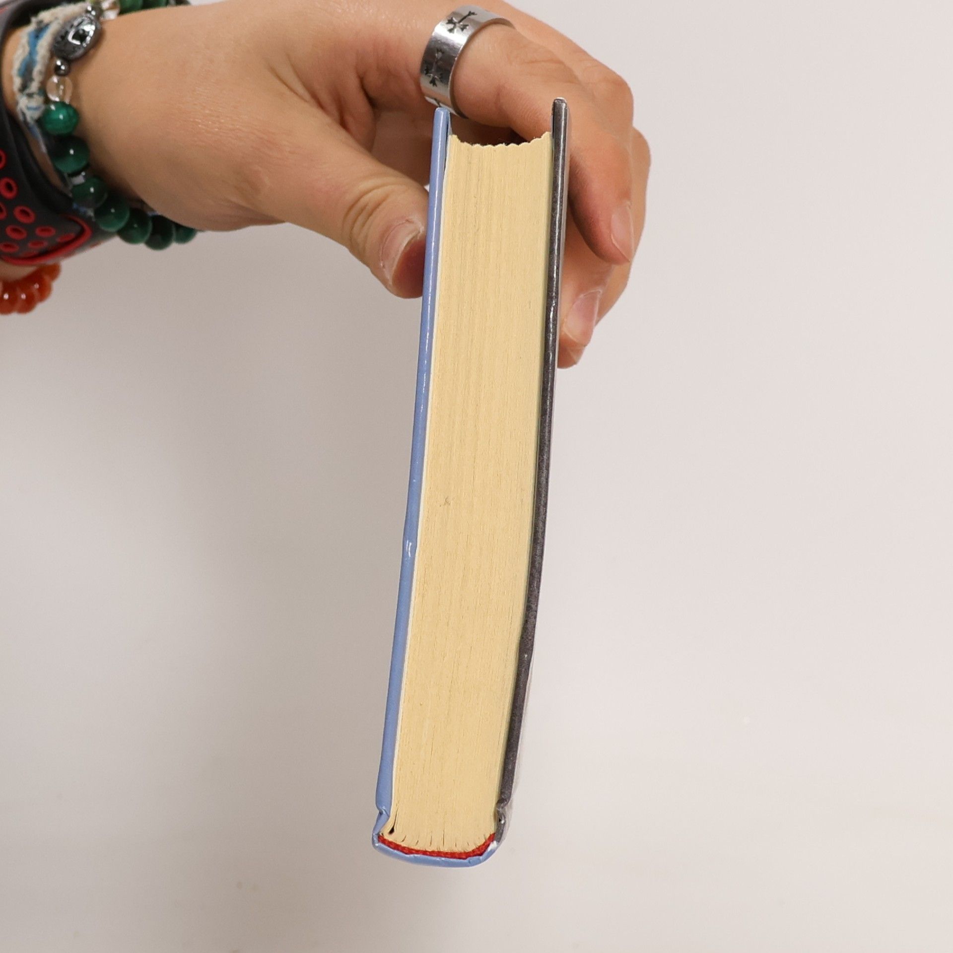 Inger Skote Hinter der blauen Tür