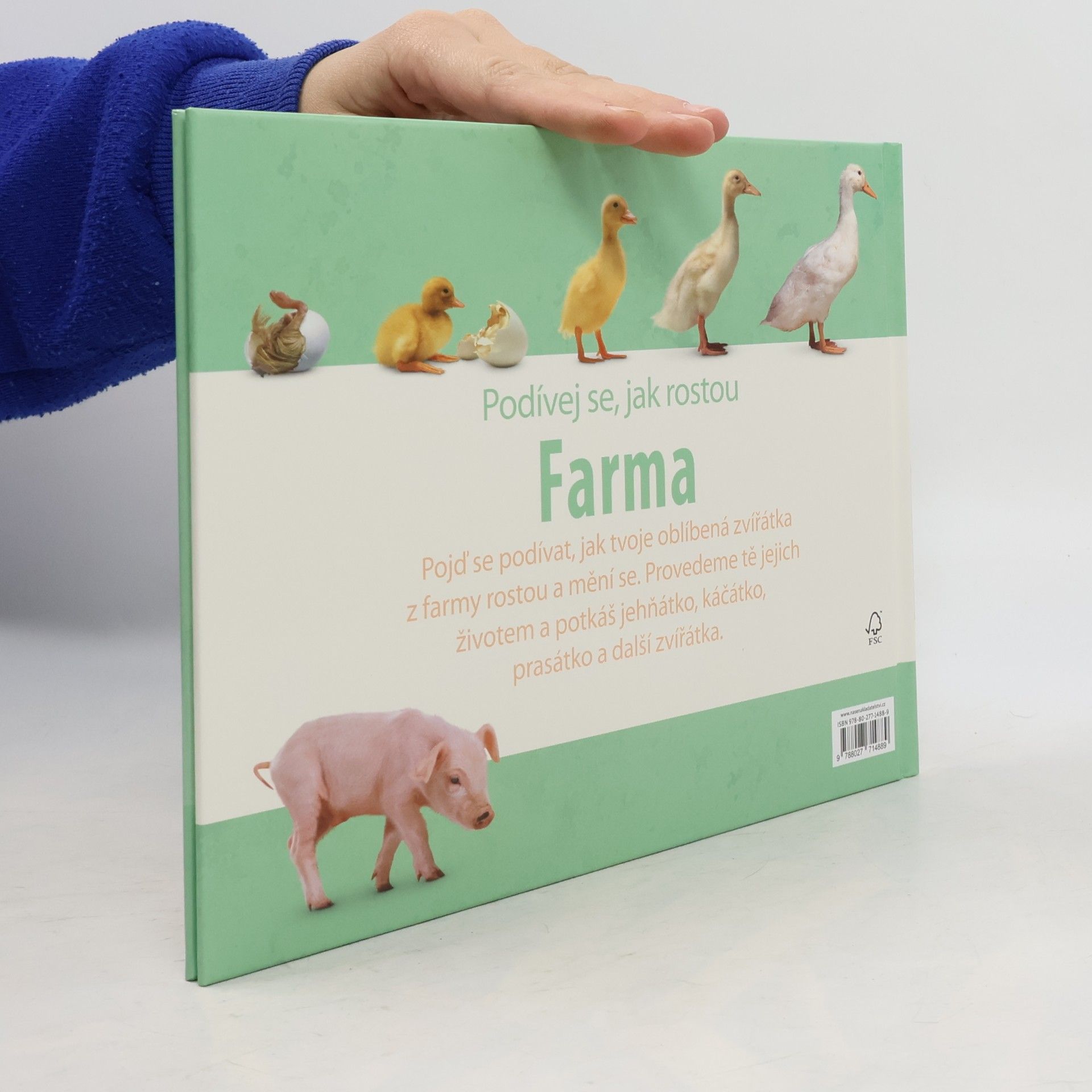 Olga Polišenská Farma. Podívej se, jak rostou