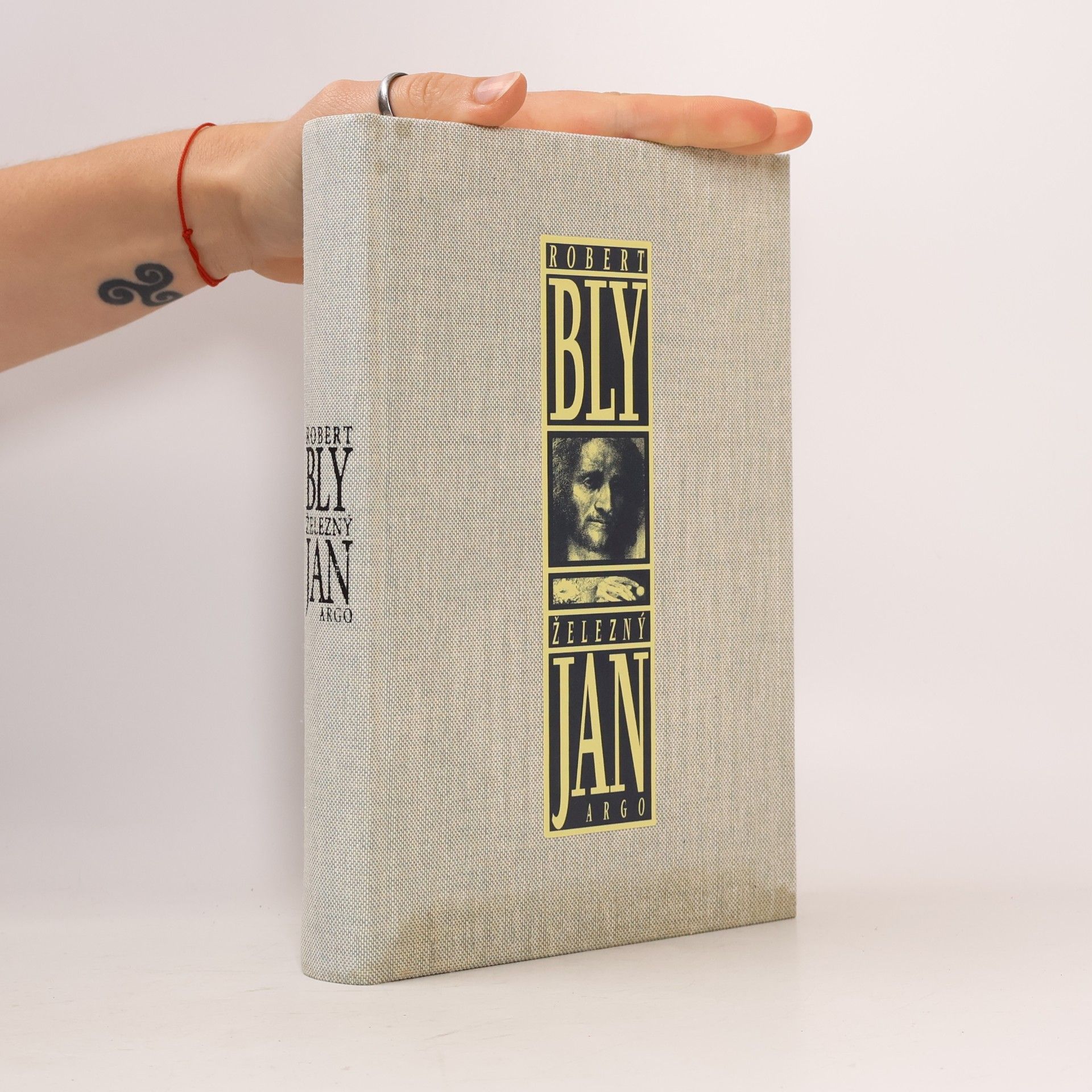 Robert Bly Železný Jan