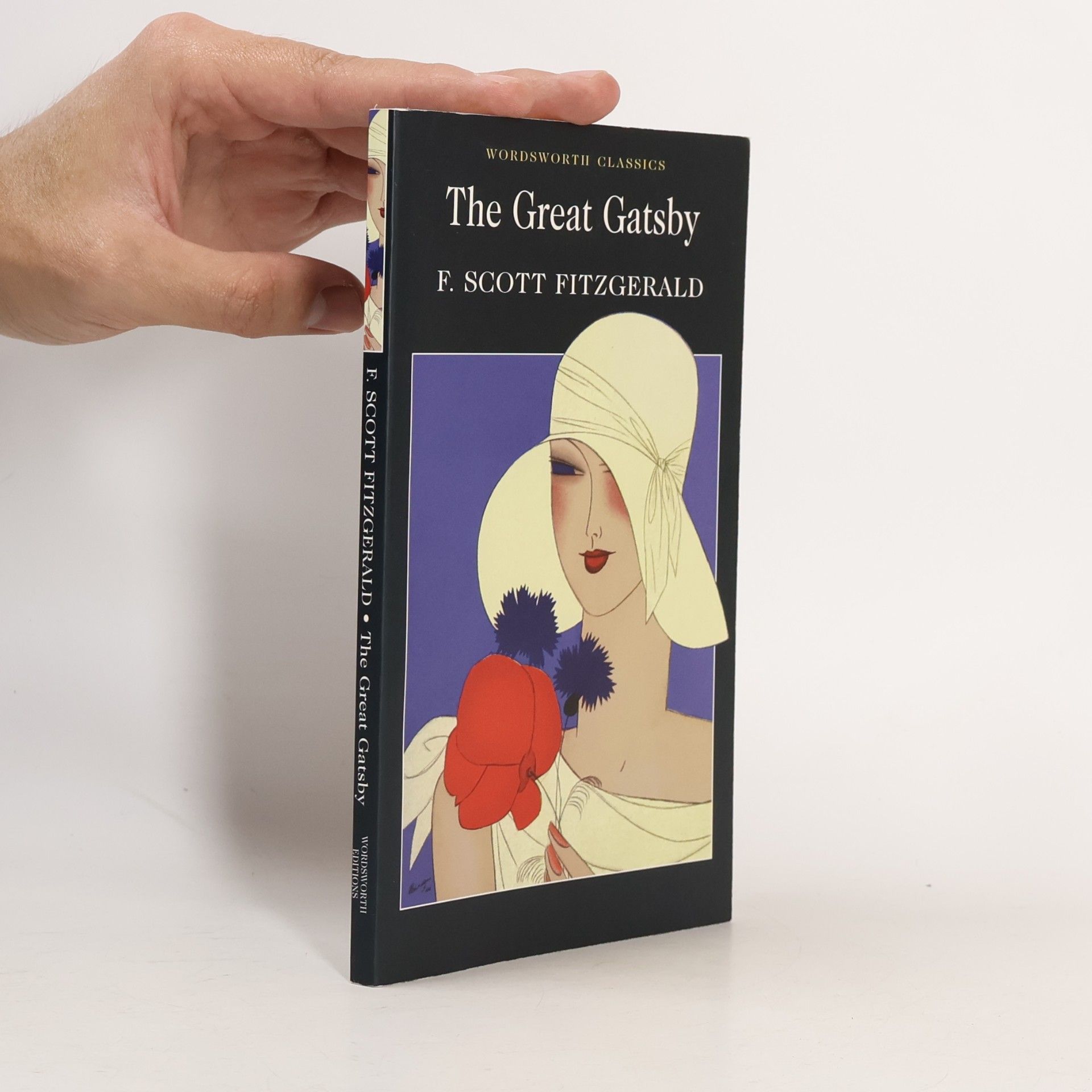 Francis Scott Fitzgerald The Great Gatsby