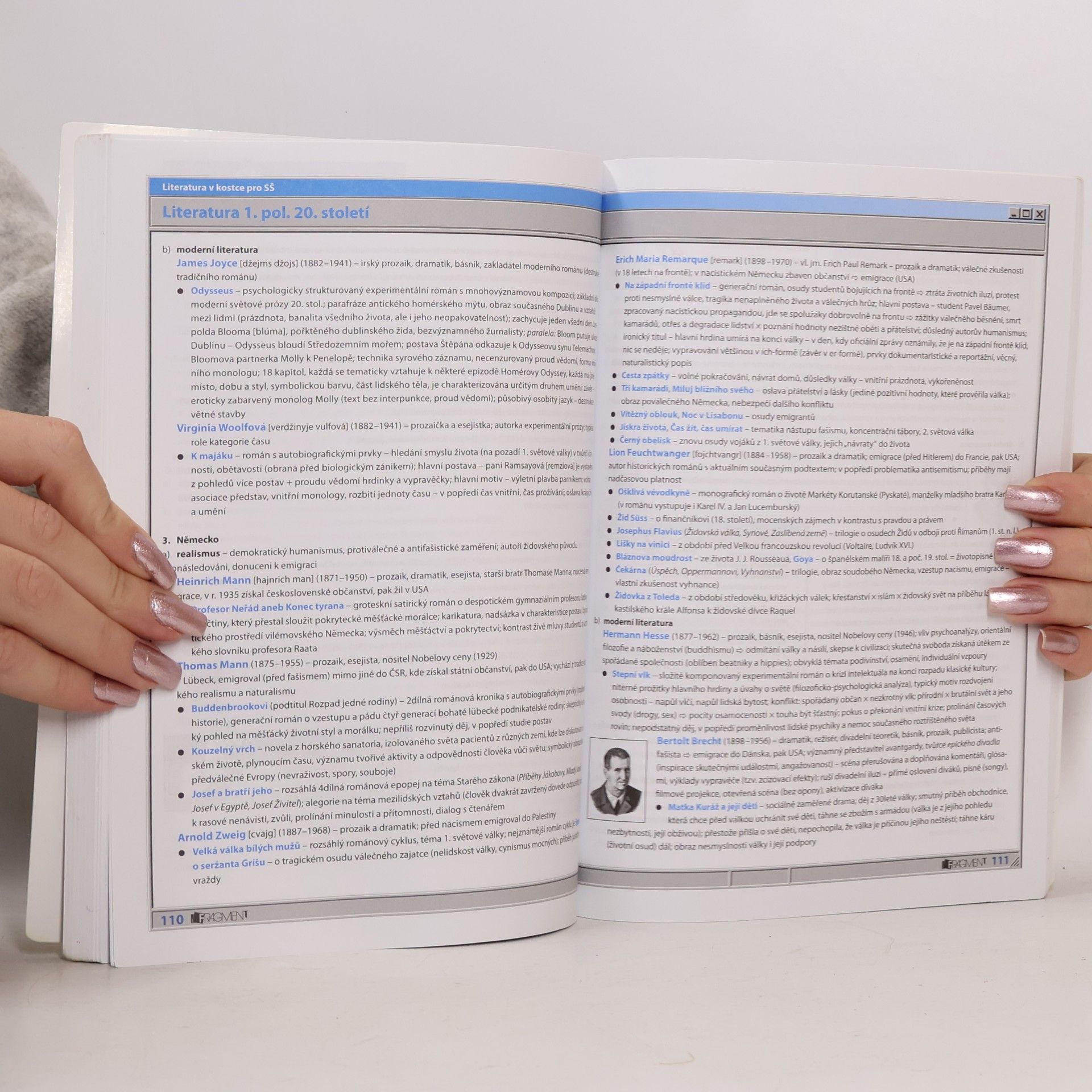 Marie Sochrová Literatura v kostce : pro střední školy