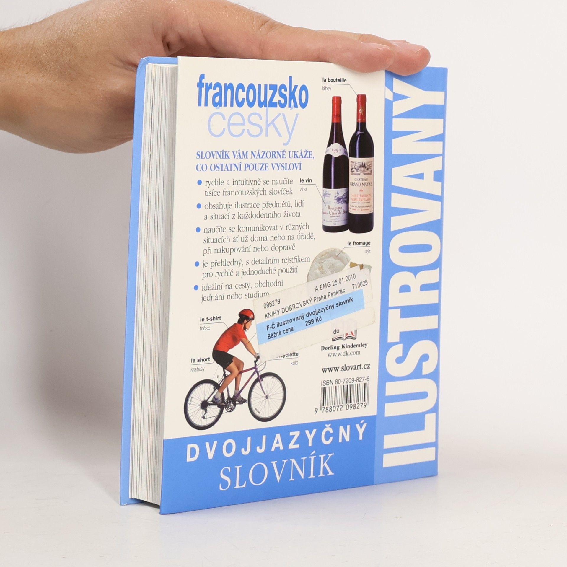 Collectif d'auteurs Francouzsko-český ilustrovaný slovník