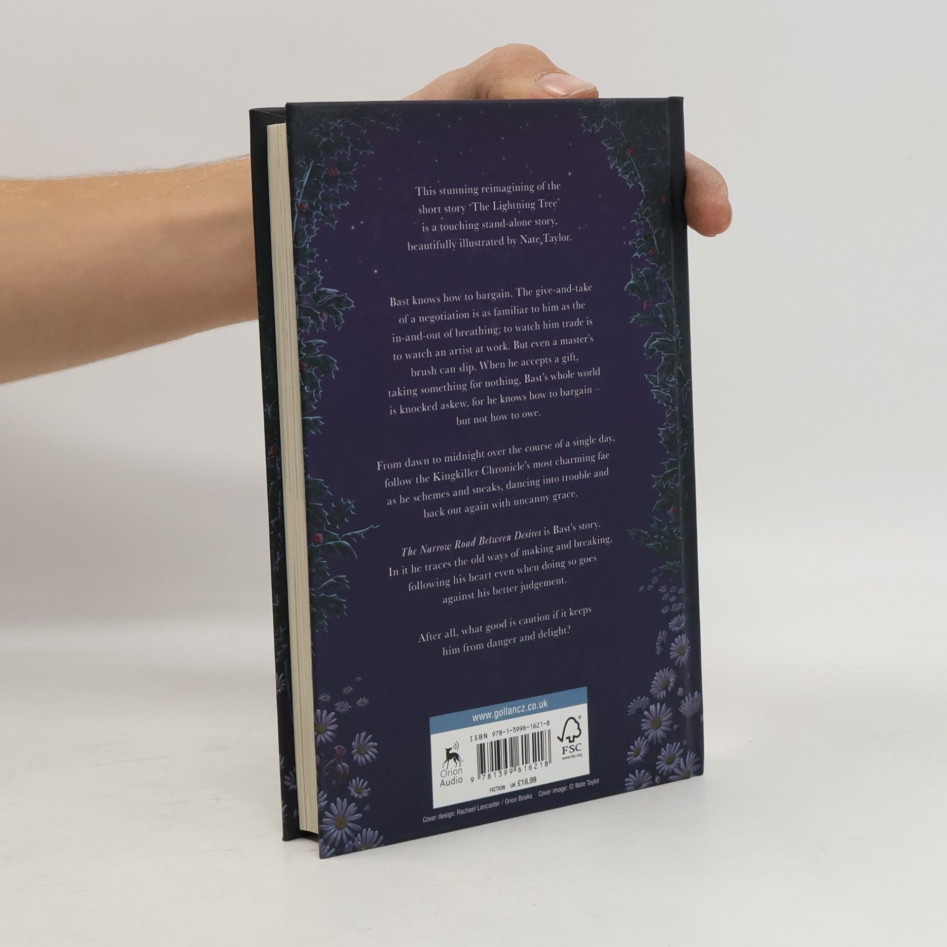 Patrick Rothfuss The Narrow Road Between Desires
