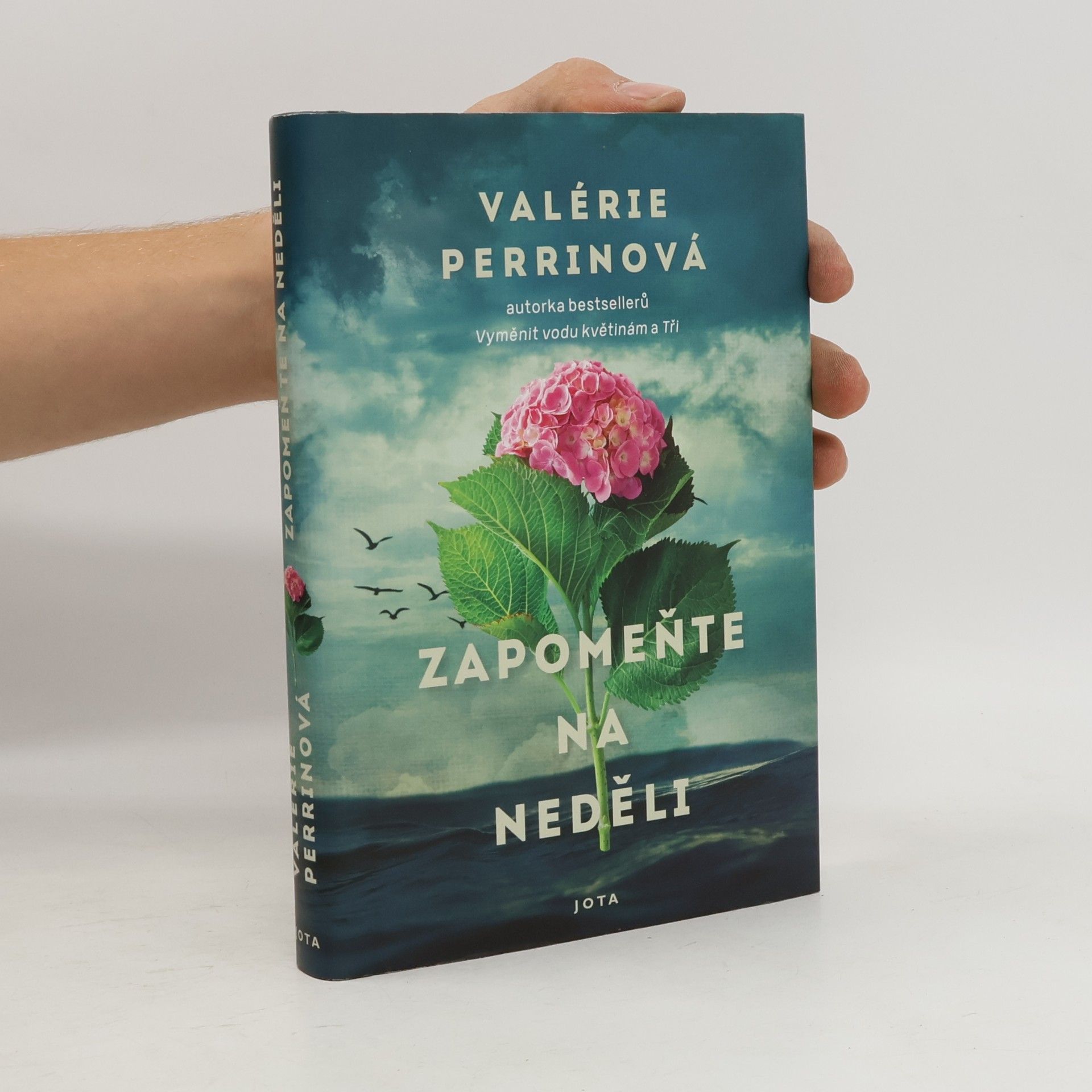 Valérie Perrin Zapomeňte na neděli