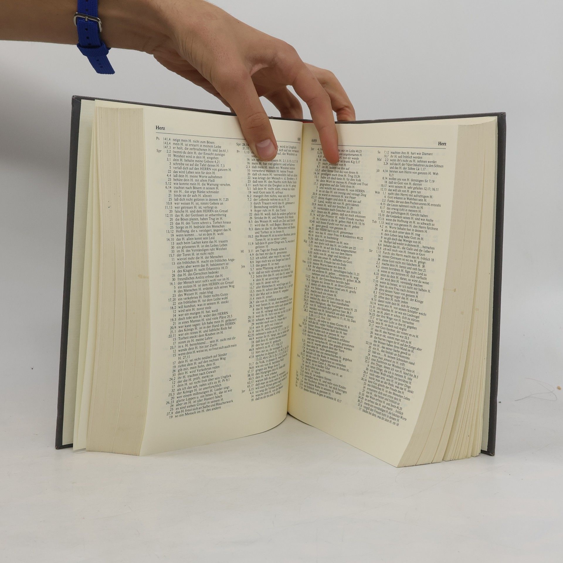 kolektiv Grosse Konkordanz zur Lutherbibel
