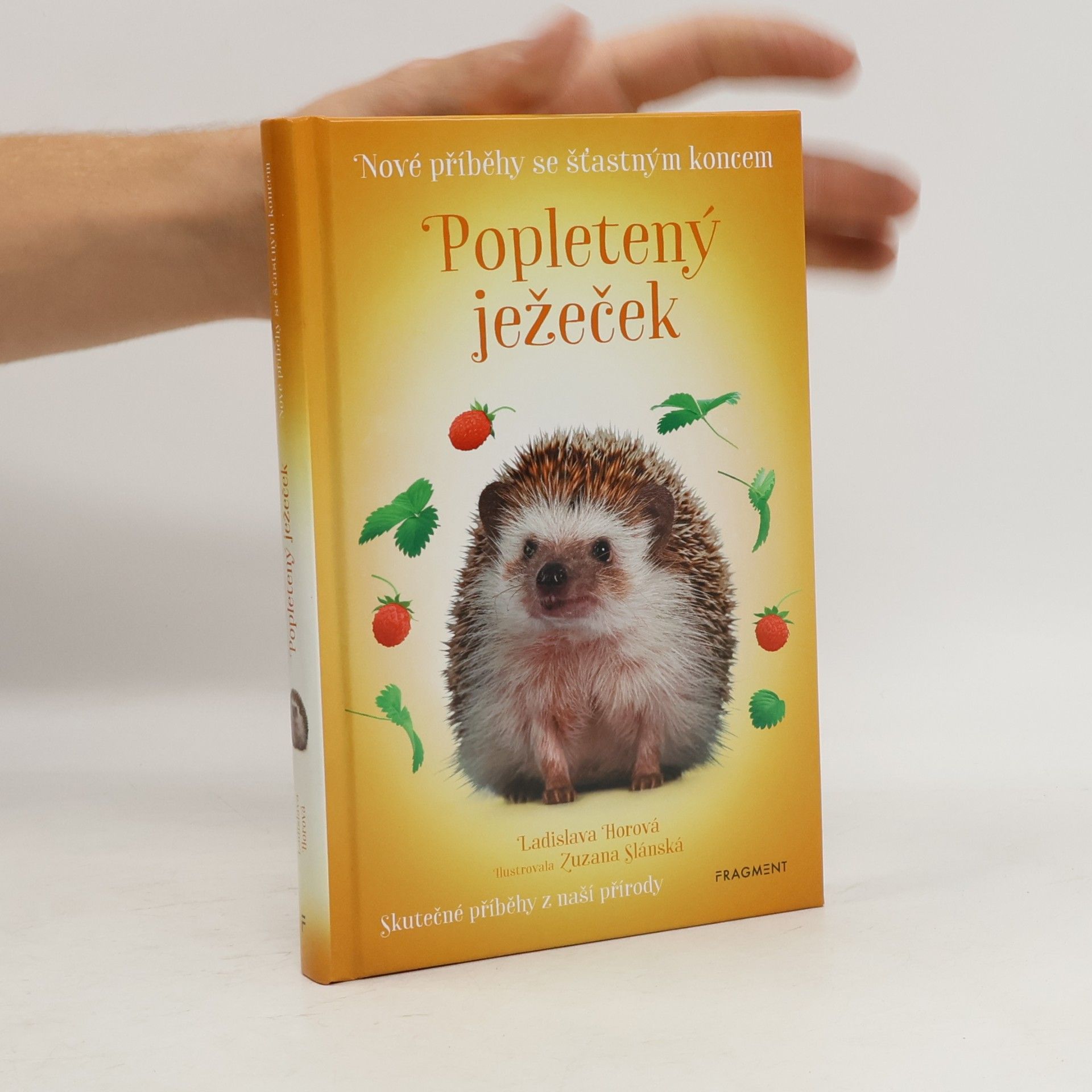 Popletený ježeček