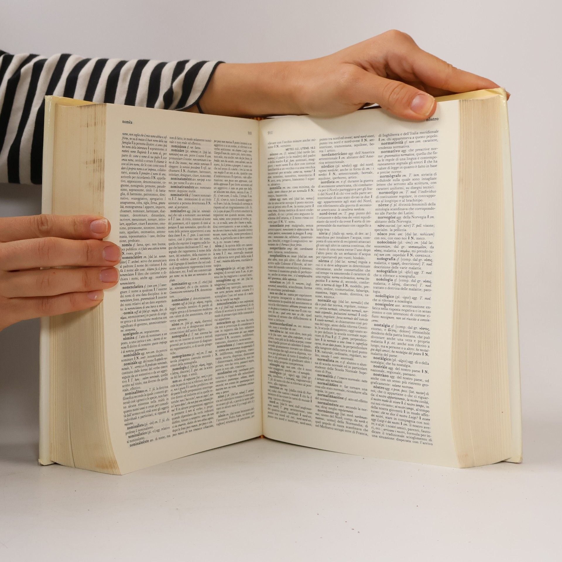 Fernando Palazzi Novissimo dizionario della lingua italiana