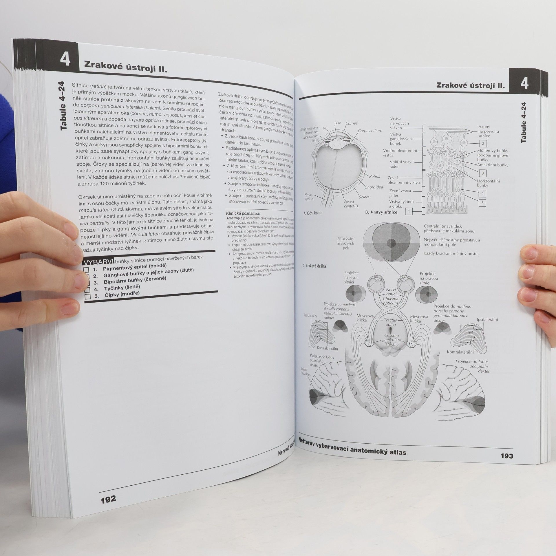 John T. Hansen Netterův vybarvovací anatomický atlas