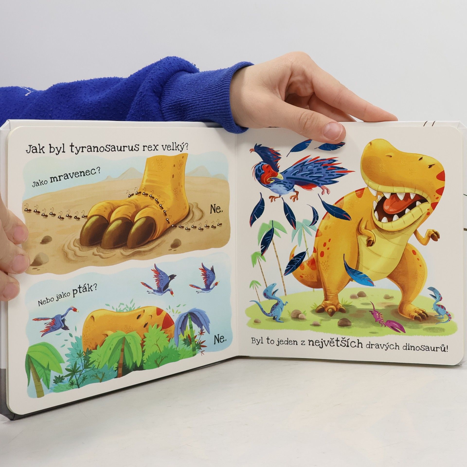 Suzanne Fossey Co má dinosaurus nejradši?