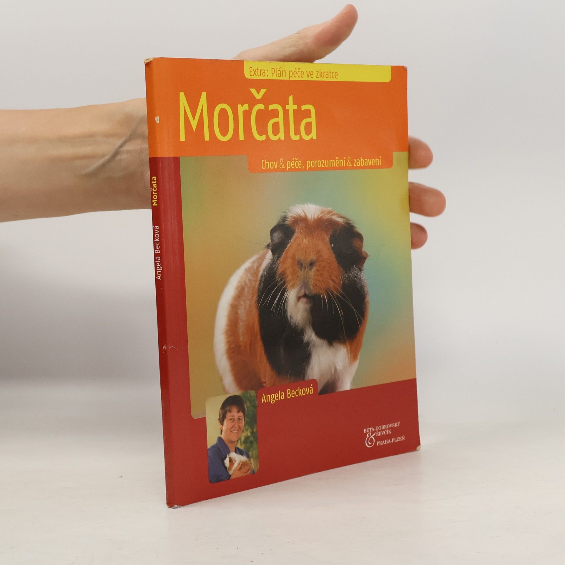 Angela Beck Morčata. Chov & péče, porozumění & zabavení