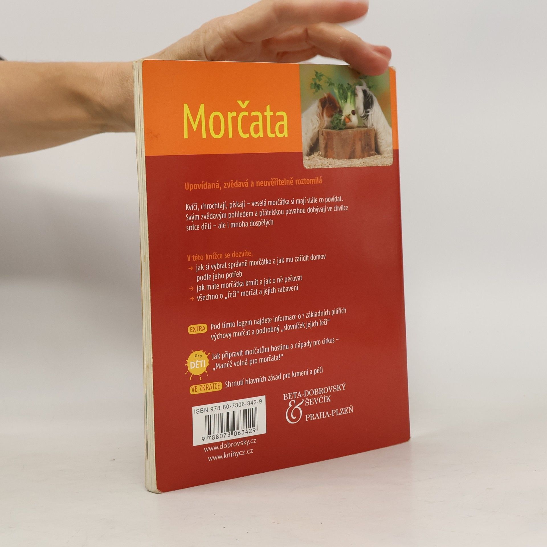 Angela Beck Morčata. Chov & péče, porozumění & zabavení