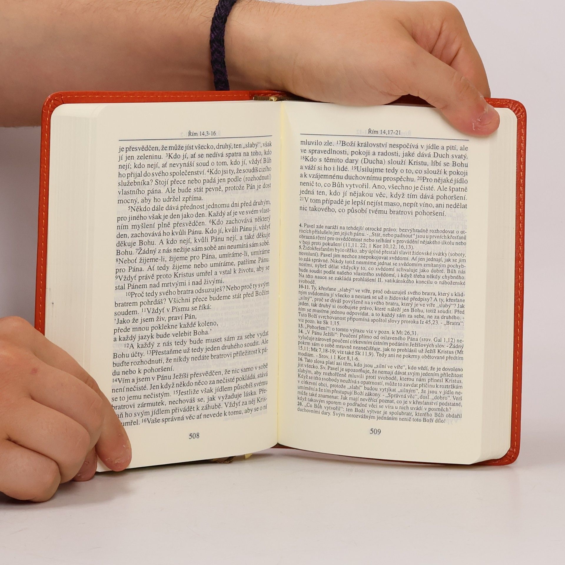 Various authors Nový zákon : text užívaný v českých liturgických knihách přeložený z řečtiny se stálým zřetelem k Nové Vulgát