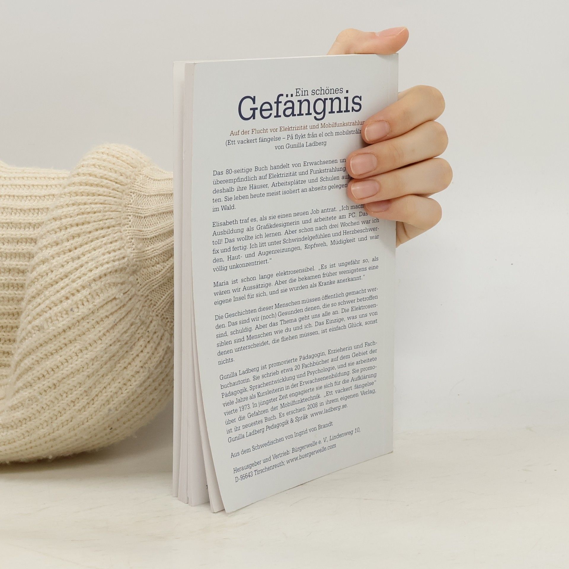 Gunilla Ladberg Ein schönes Gefängnis