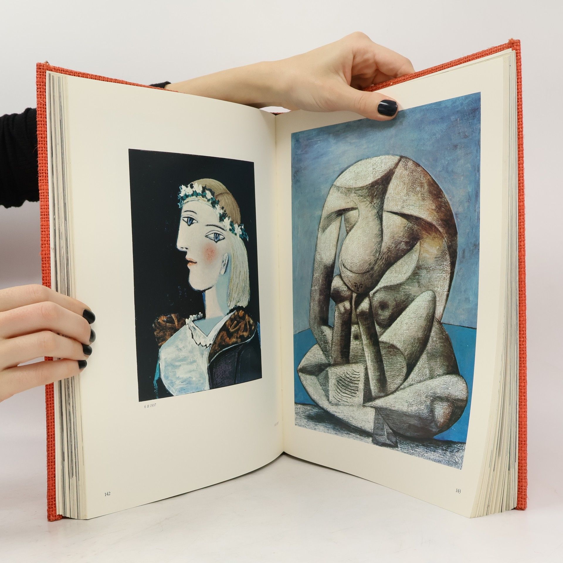 David Douglas Duncan Adieu Picasso
