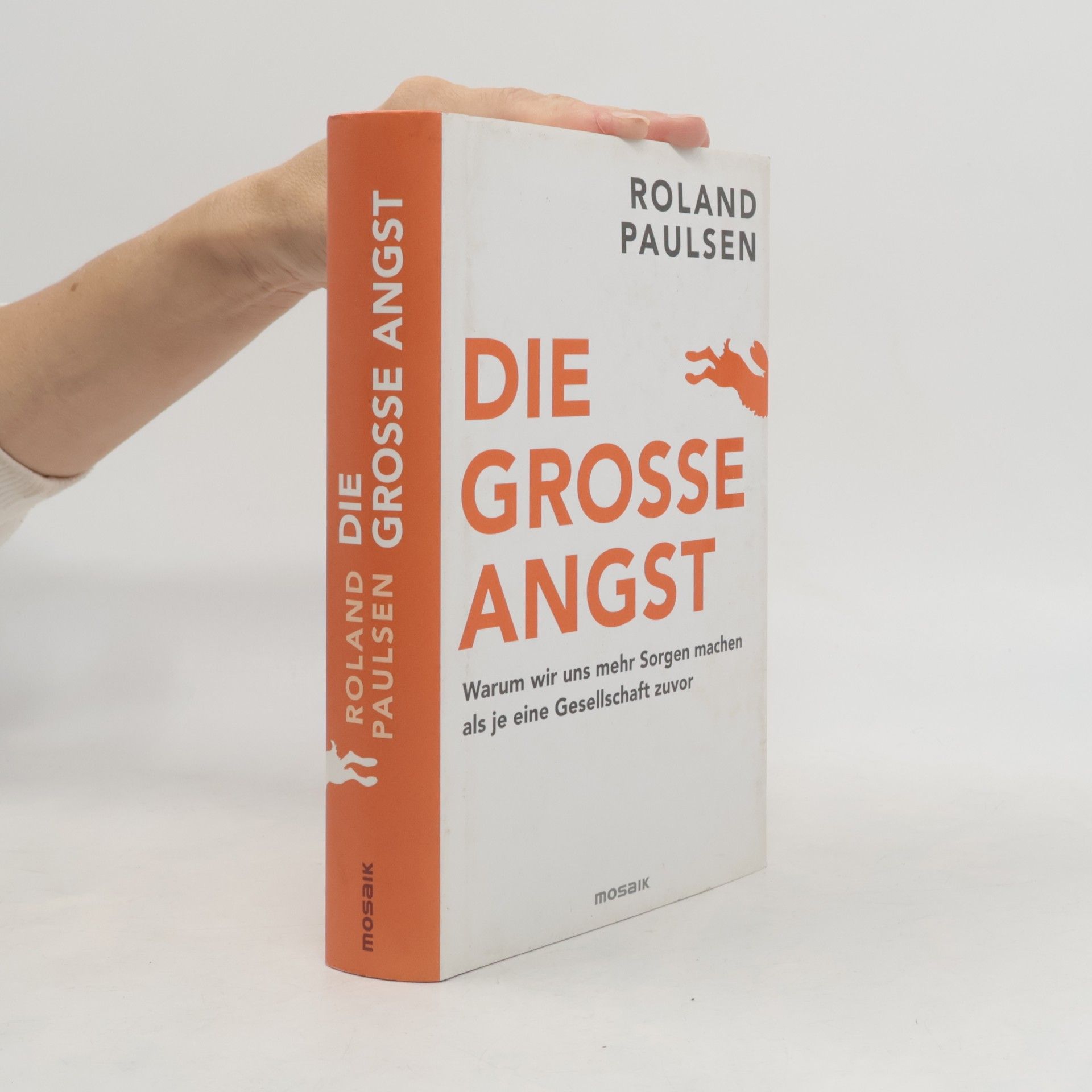Roland Paulsen Die große Angst