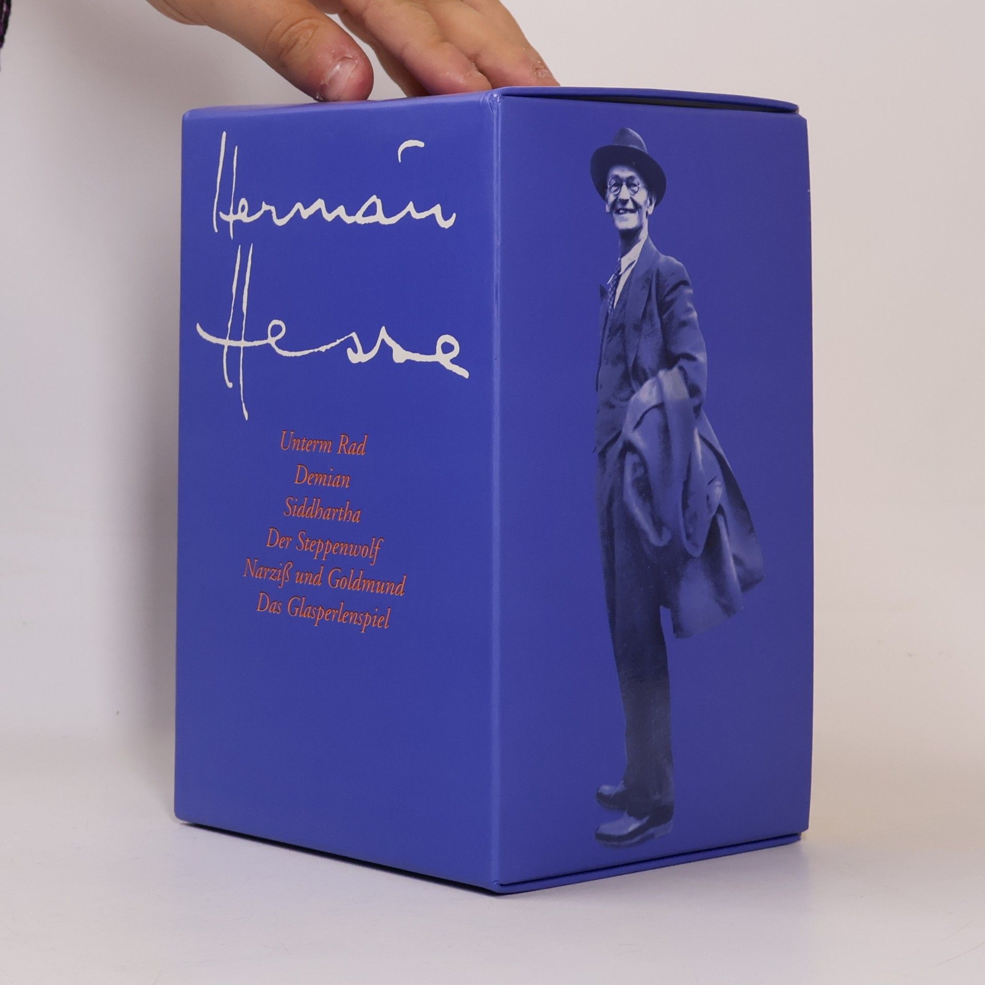 Hermann Hesse Unterm Rad. Demian. Siddhartha. Der Steppenwolf. Narziß und Goldmund. Das Glasperlenspiel