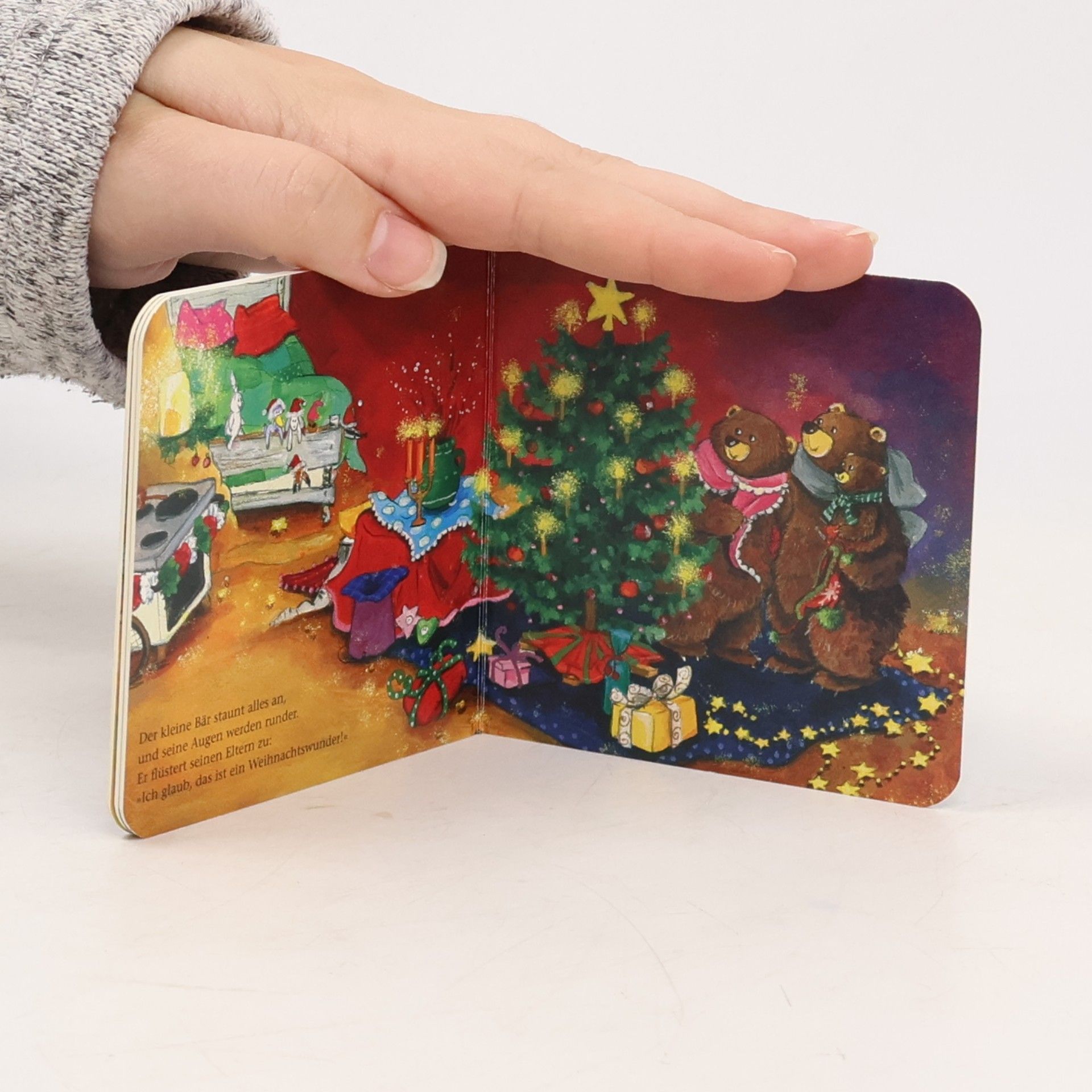 Eleni Livanios Der kleine Bär und das Weihnachtswunder