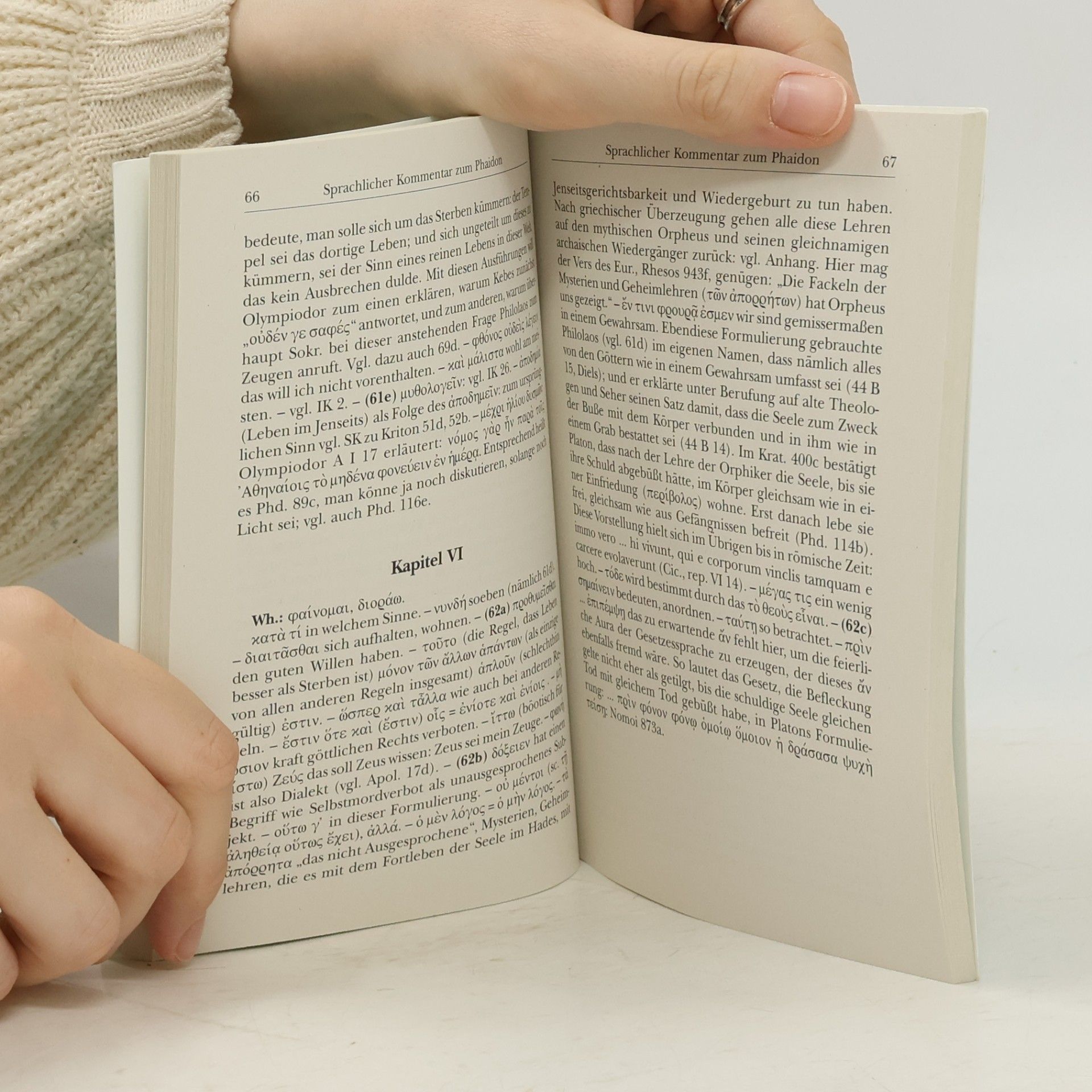 Platón Apologie und Kriton nebst Abschnitten aus Phaidon. Kommentar