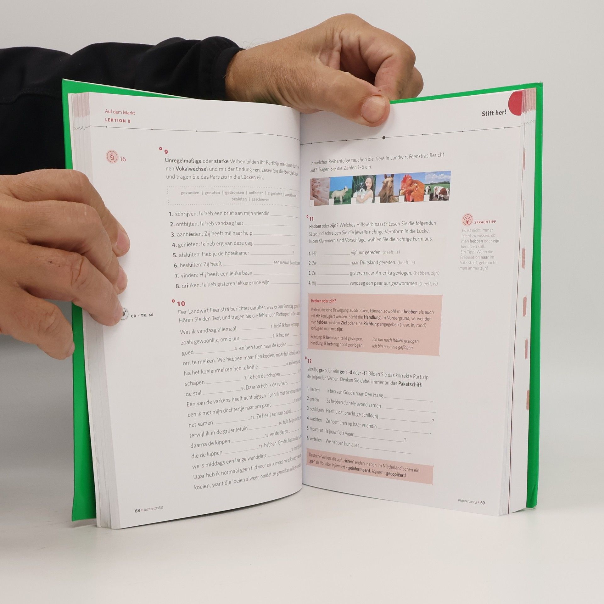 Autorenkollektiv PONS Power-Sprachkurs Niederländisch