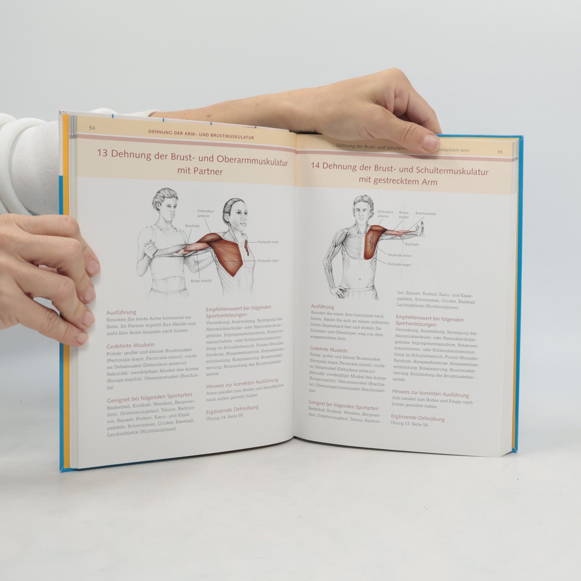 Brad Walker Anatomie des Stretchings
