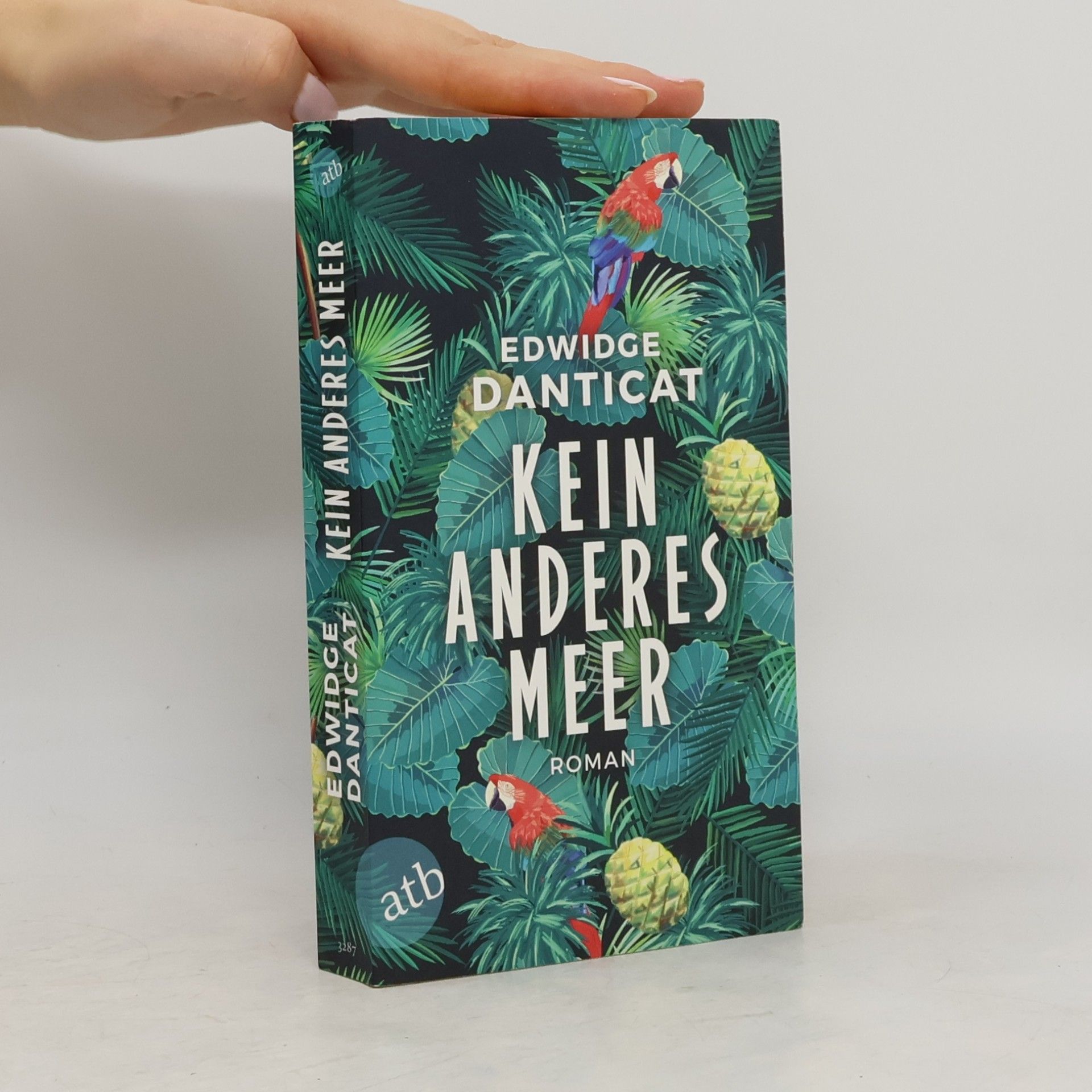 Edwidge Danticat Kein anderes Meer