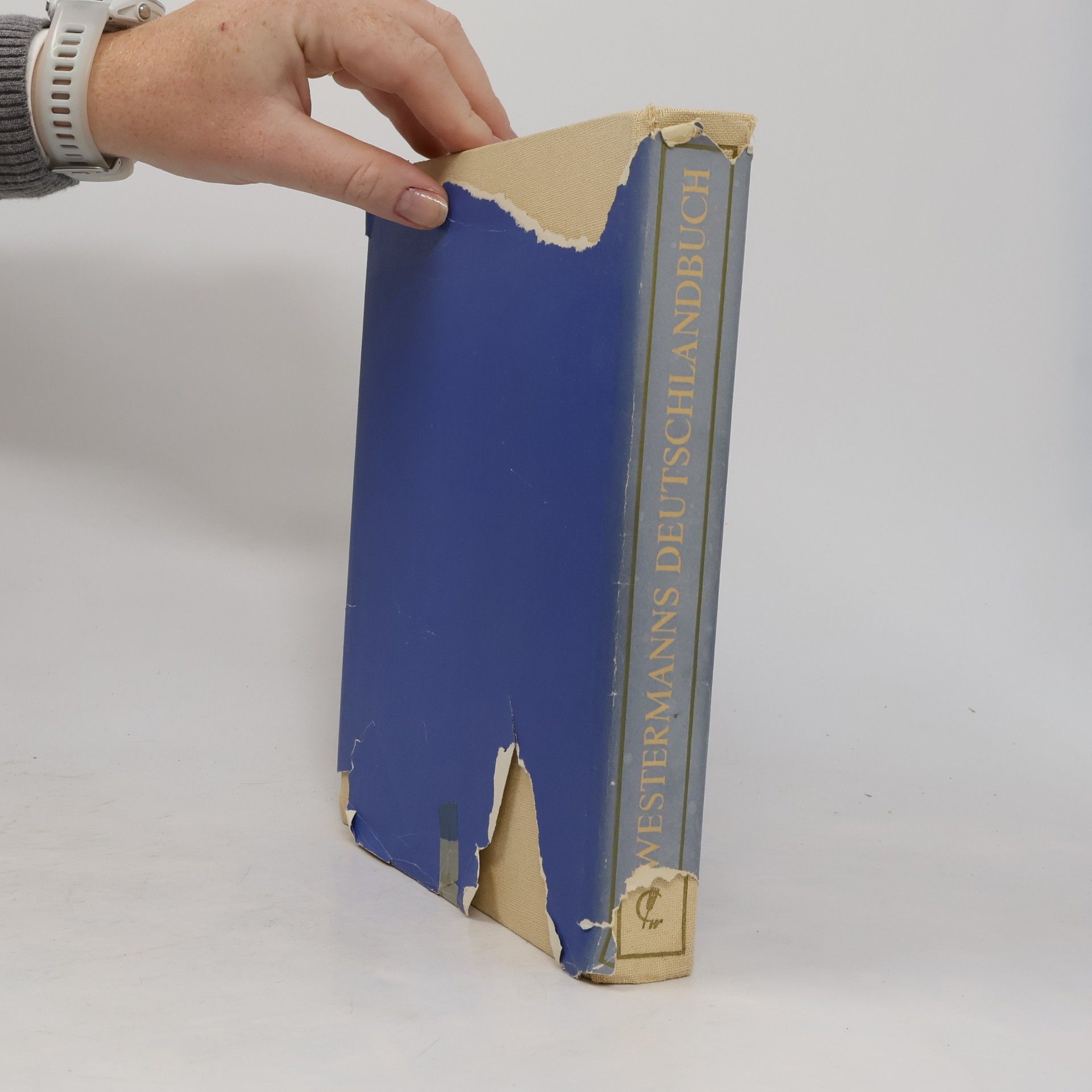 Autorenkollektiv Westermanns Deutschland Buch