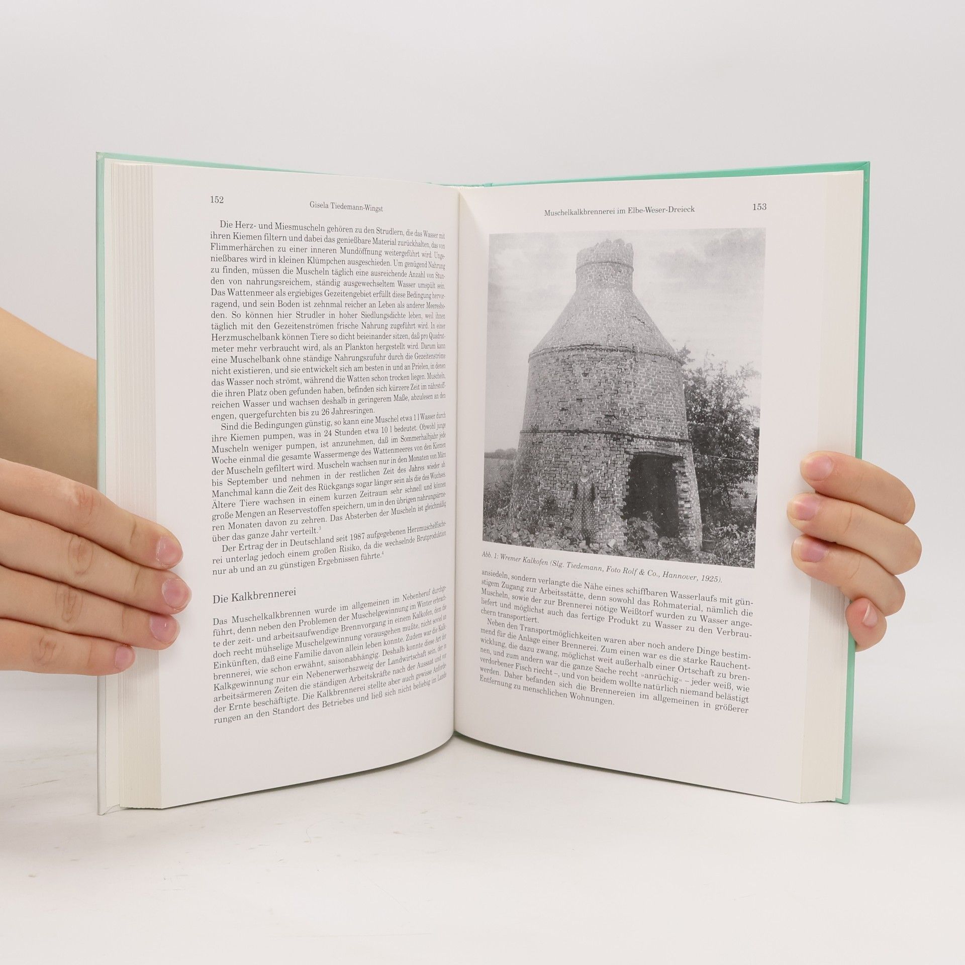 kolektiv Jahrbuch Männer vom Mörgenstern 83