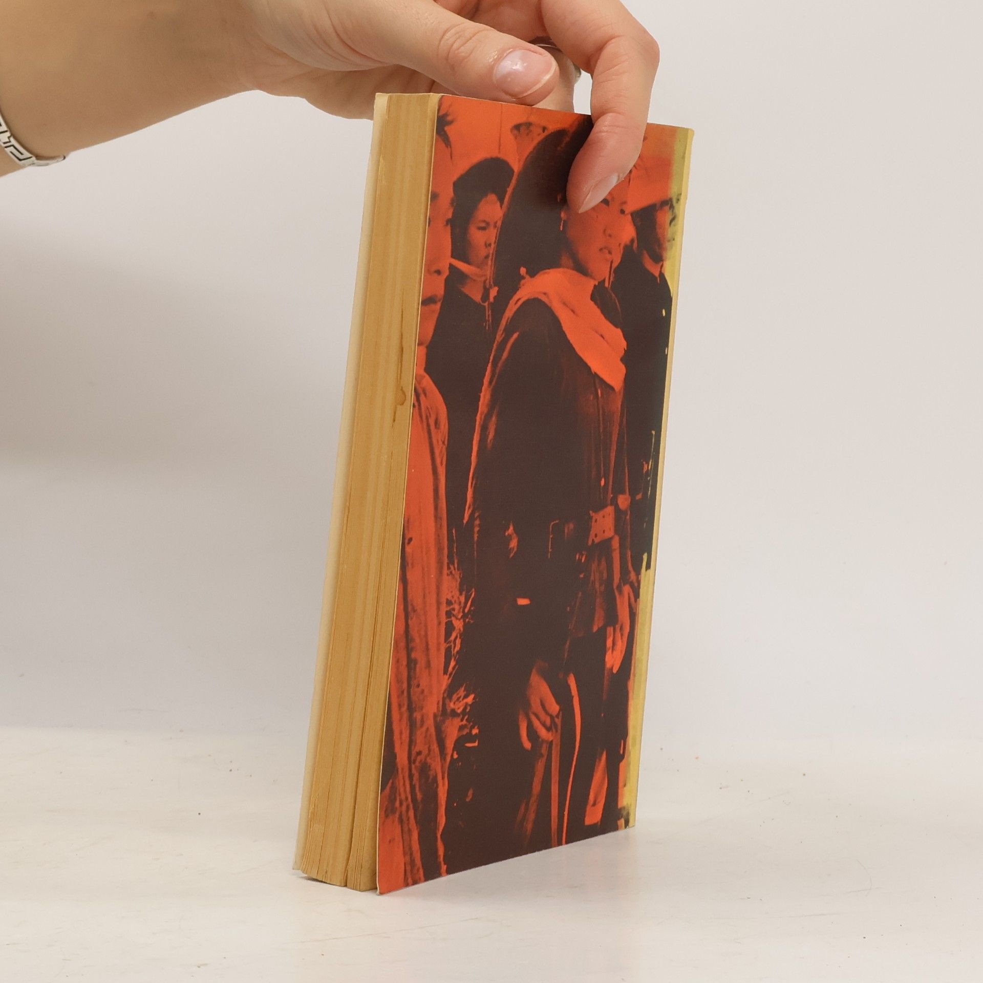 Tse-tung Mao Theorie des Guerillakrieges
