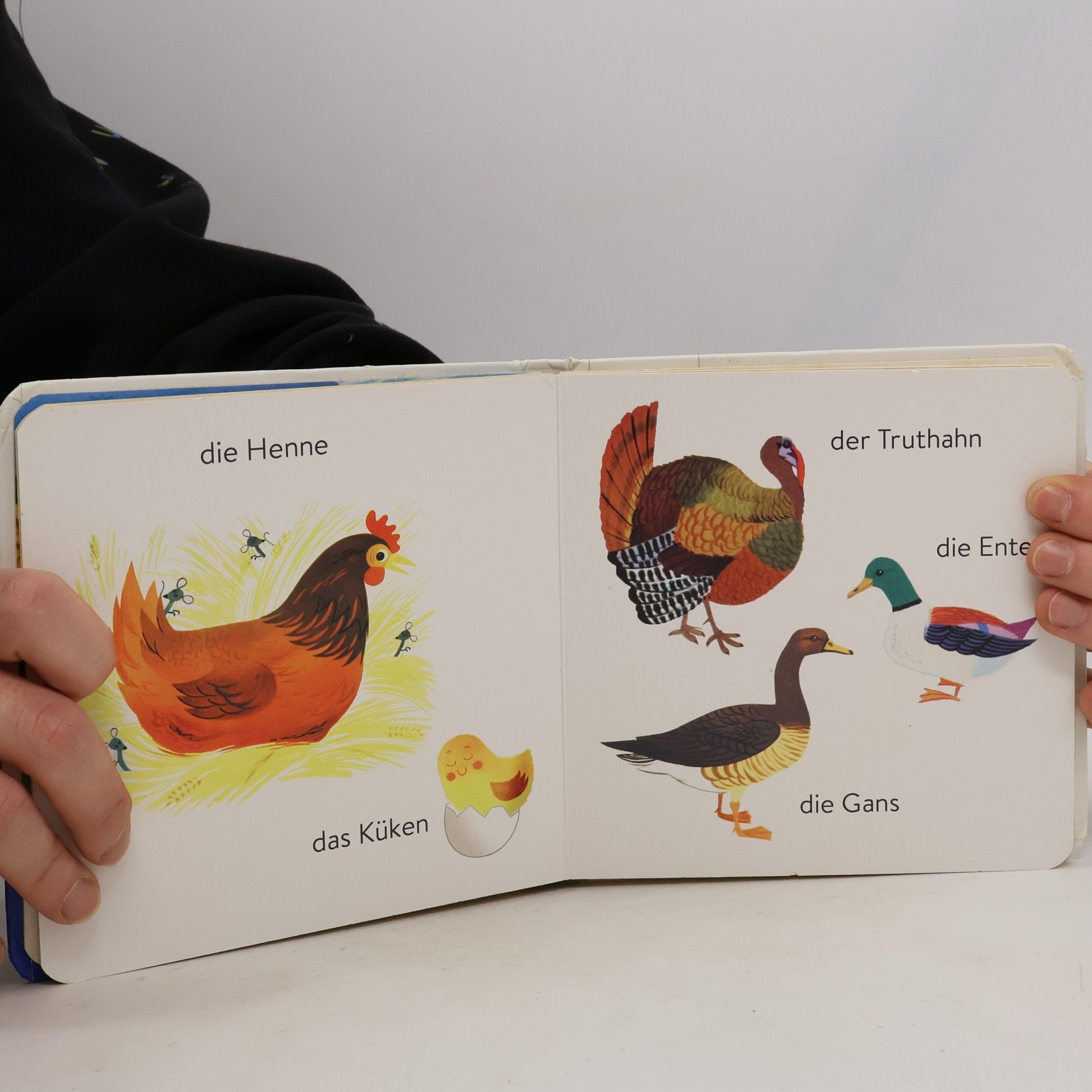 Alain Grée Mein erstes Buch - Bauernhof