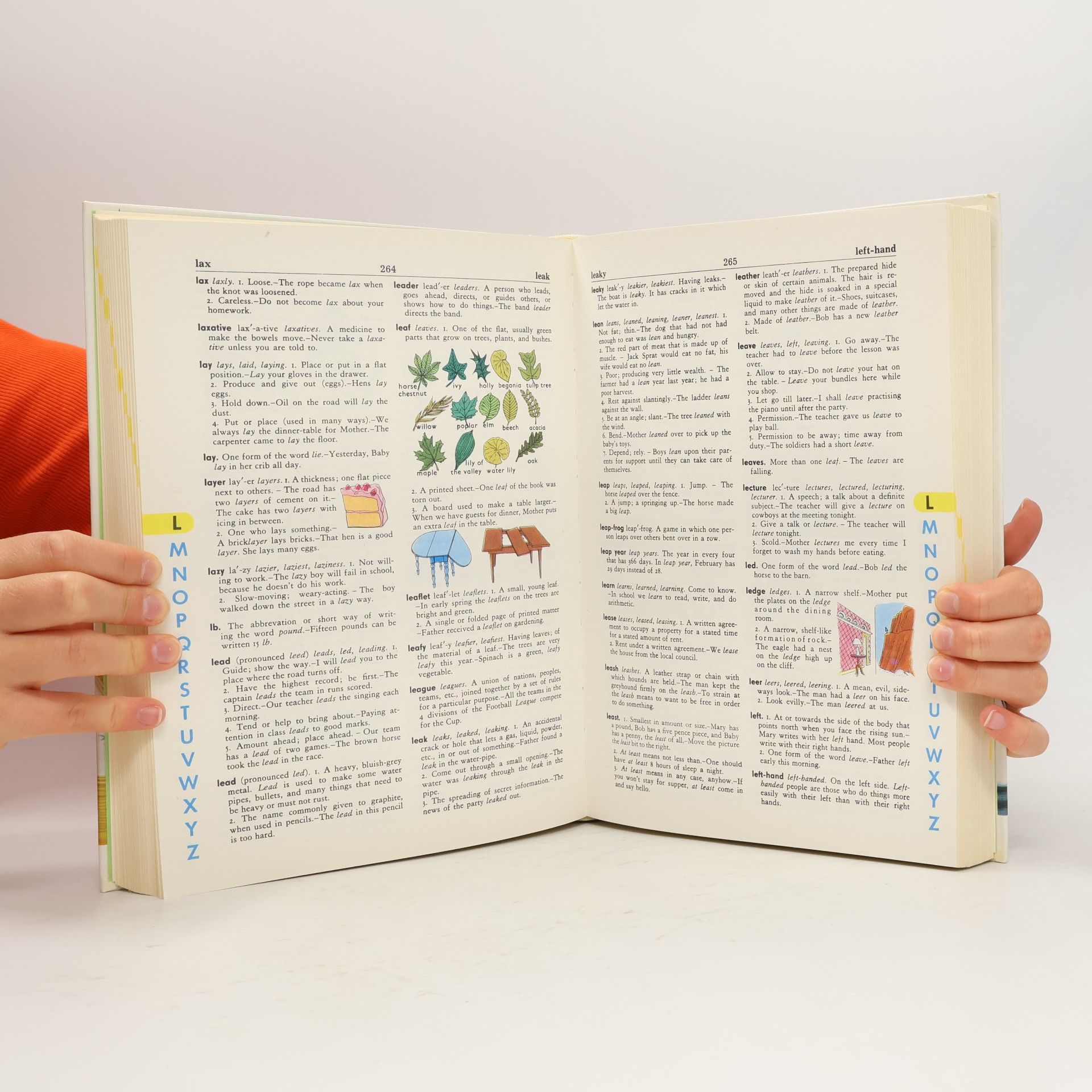 Stuart A. Courtis The Giant All-Colour Dictionary