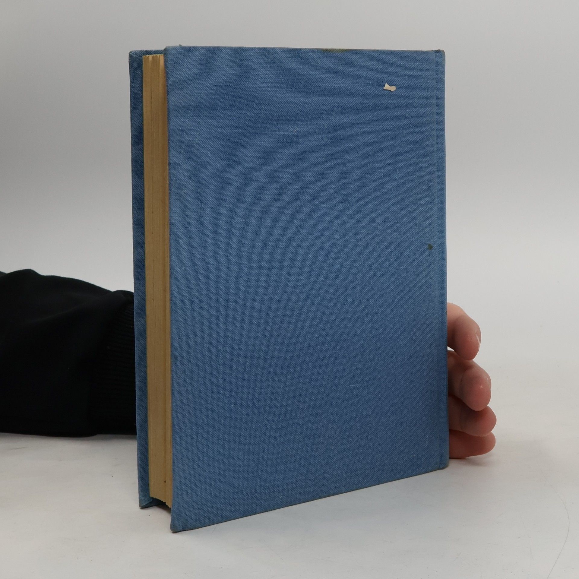 Mark Twain Dobrodružství Toma Sawyera