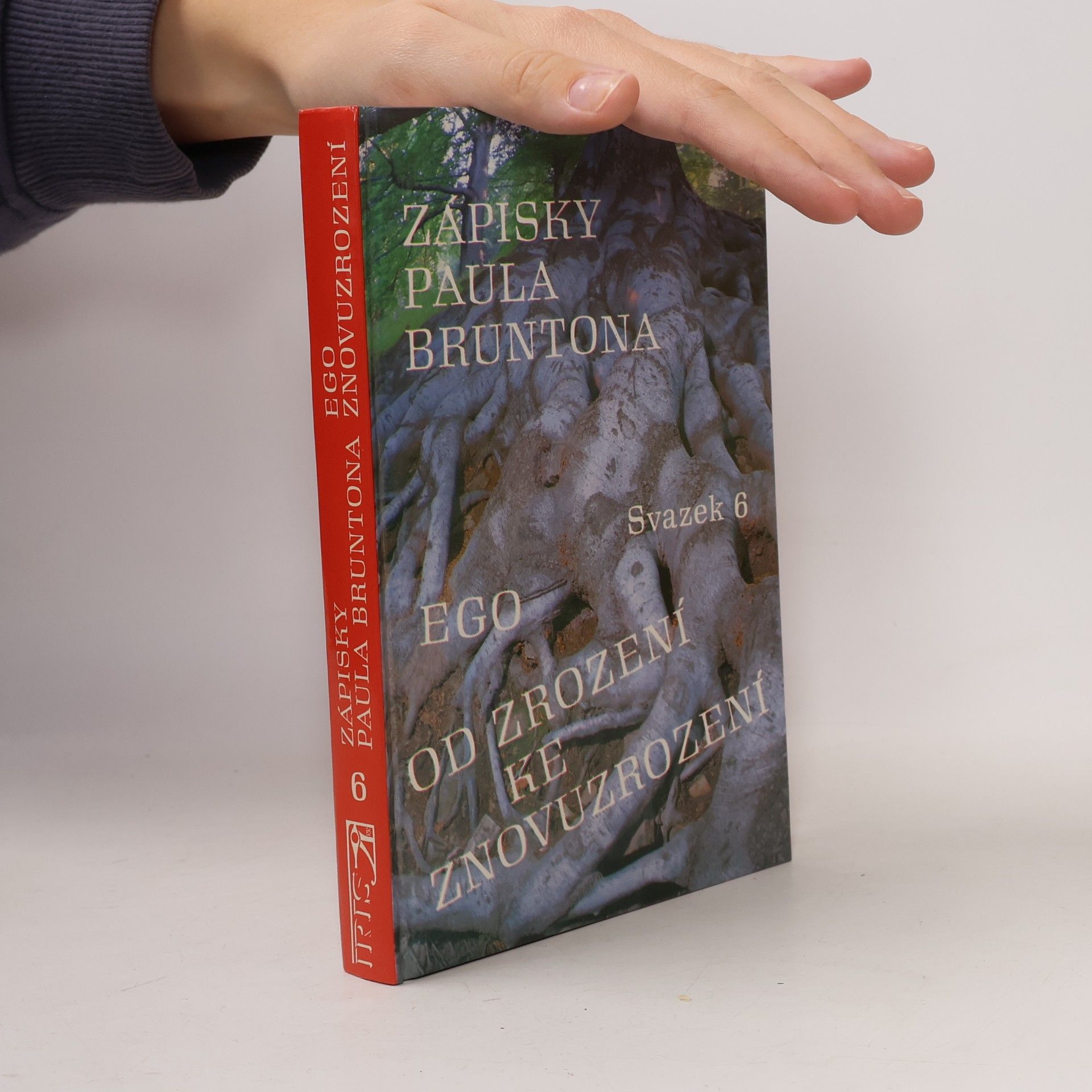 Ego. Od zrození ke znovuzrození. Zápisky Paula Bruntona. (Svazek 6)