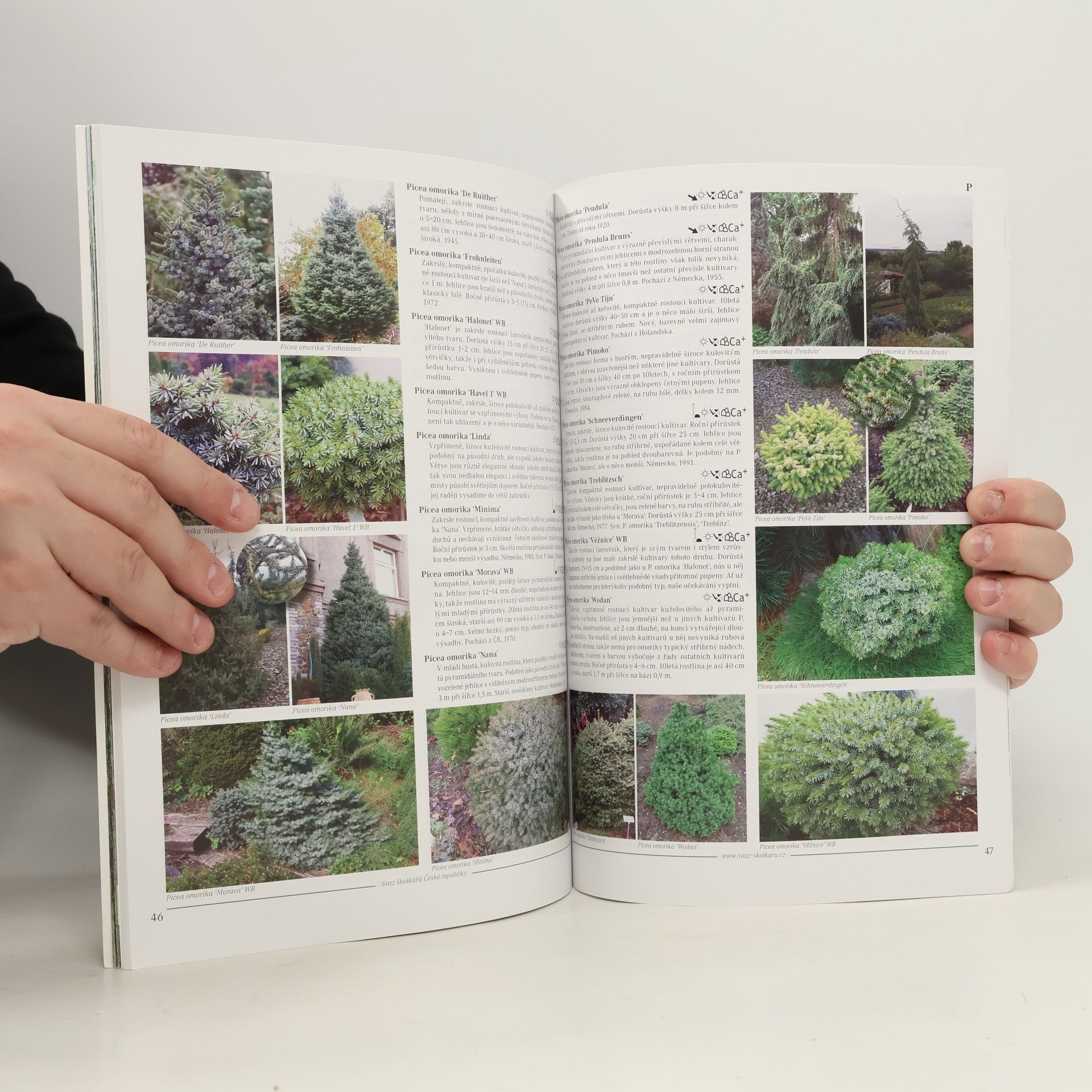 Various authors Katalog jehličin
