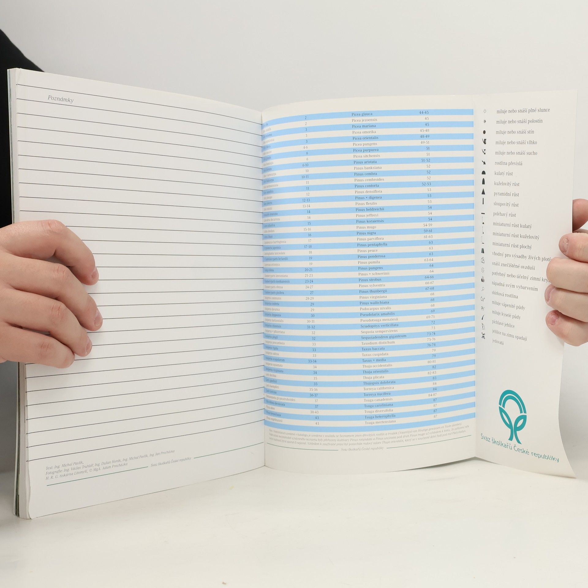 Various authors Katalog jehličin