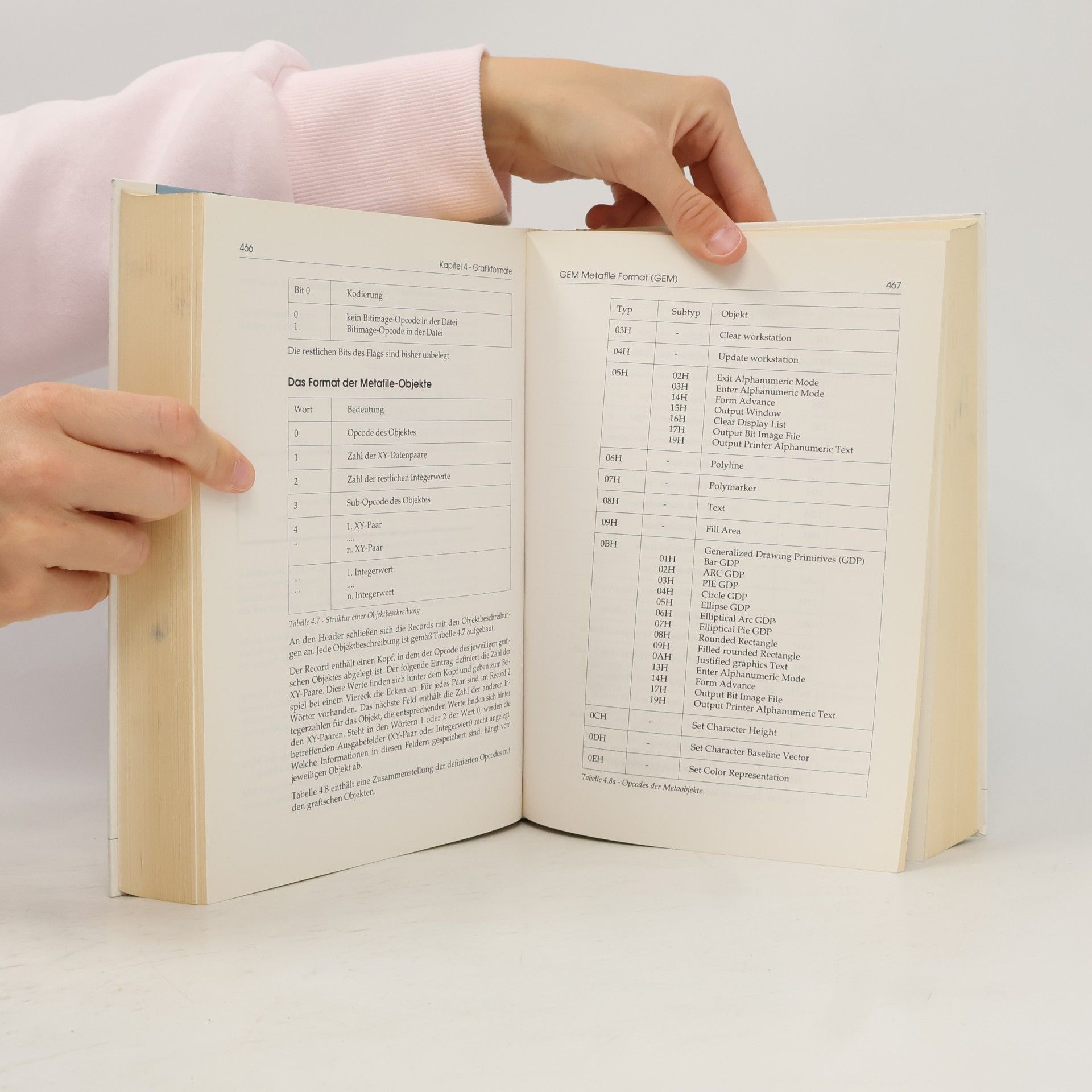 Günter Born Referenzhandbuch Dateiformate