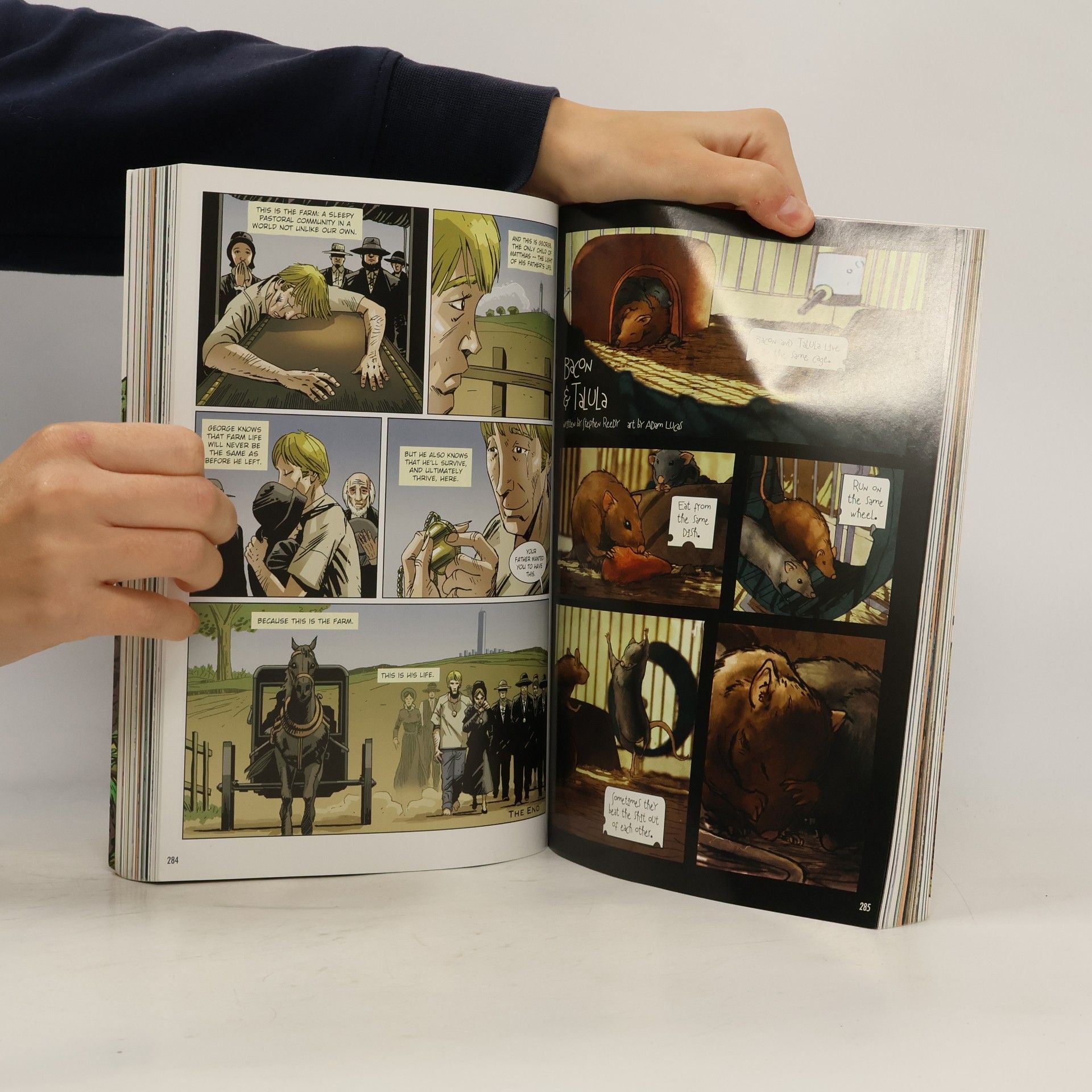 K.I. Zachopoulos Popgun, Vol. 4