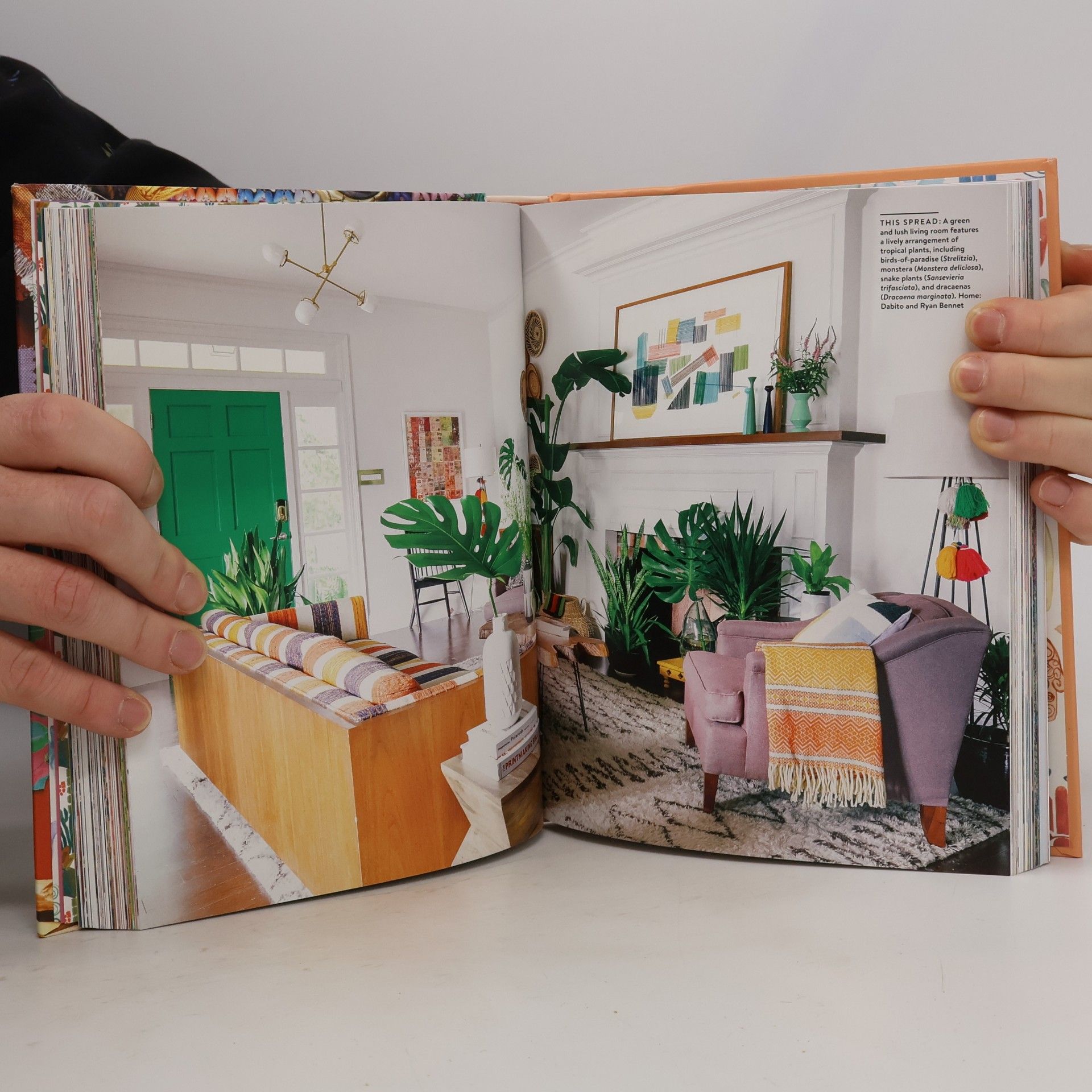 Justina Blakeney The New Bohemians Handbook