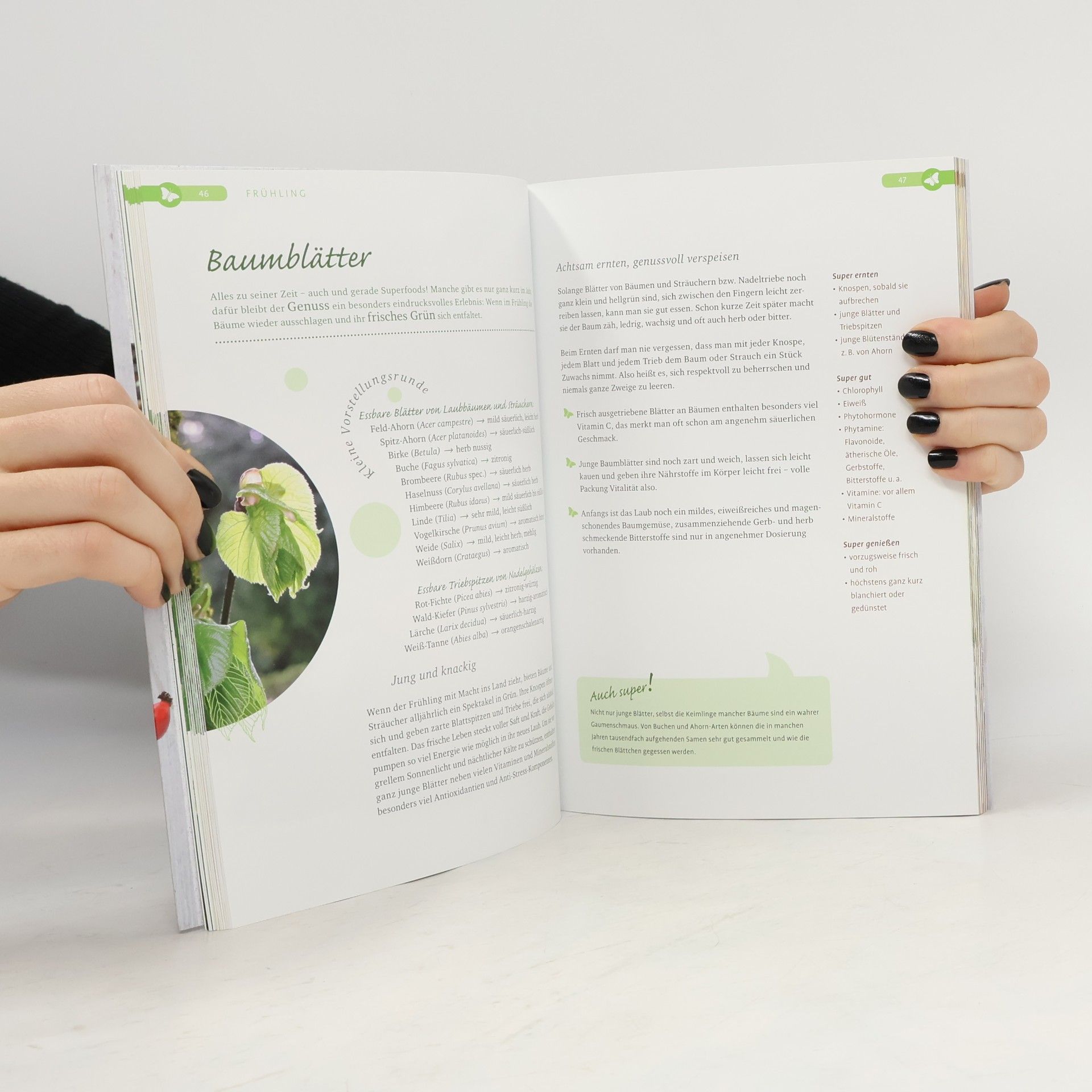 Karin Greiner Superfood Heimische Wildpflanzen